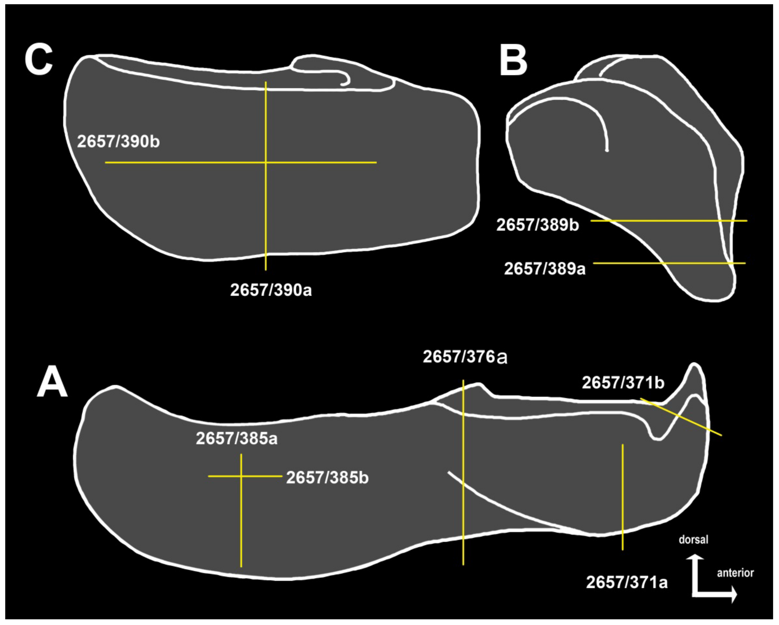 Diversity 15 00648 g005 Diversity 15 00648 g005