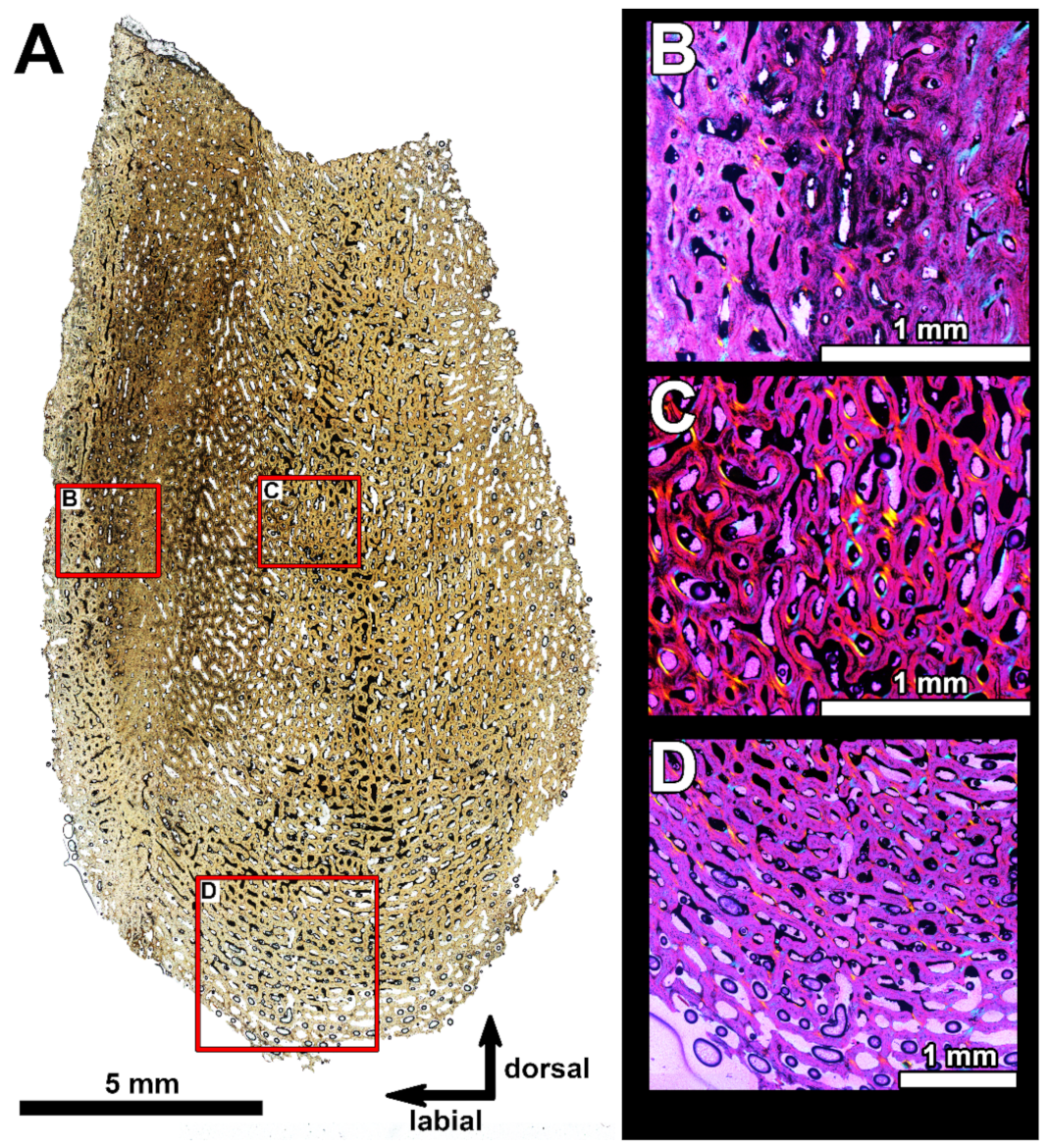 Diversity 15 00648 g006 Diversity 15 00648 g006