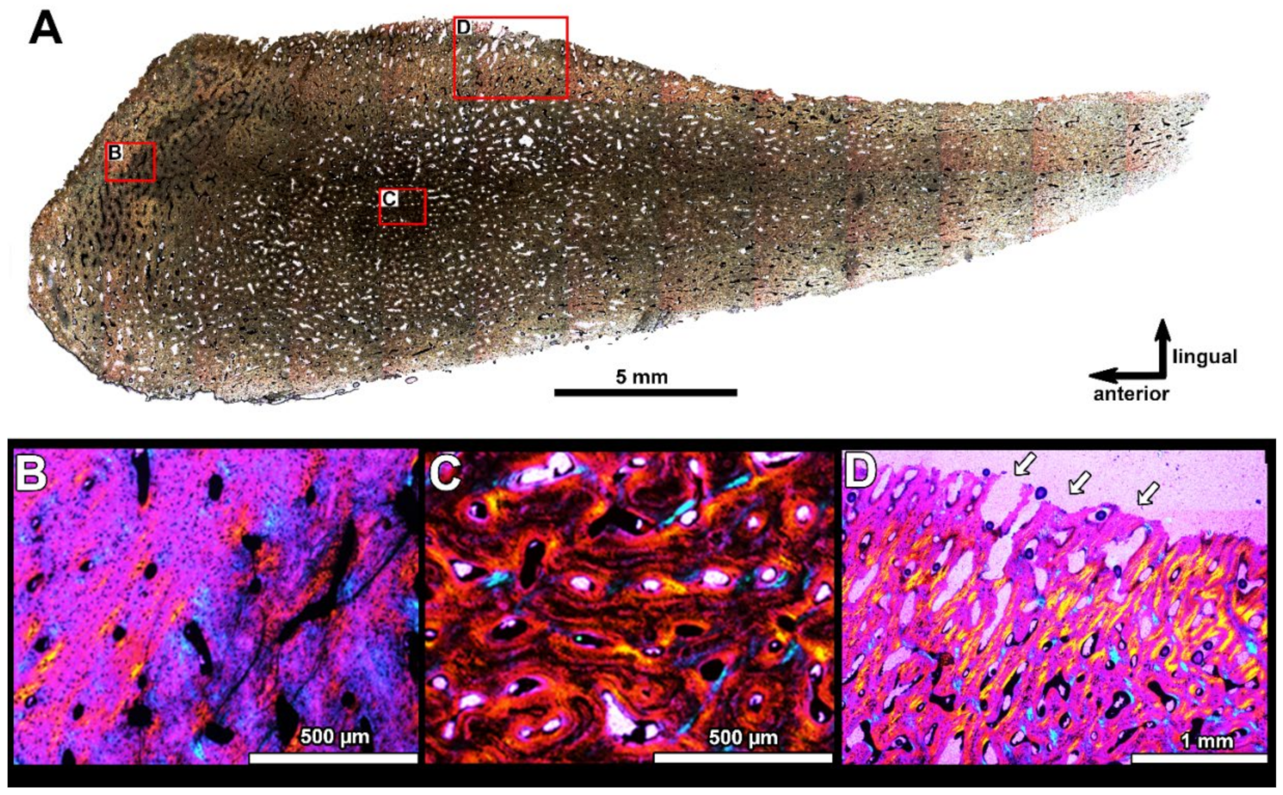 Diversity 15 00648 g007 Diversity 15 00648 g007