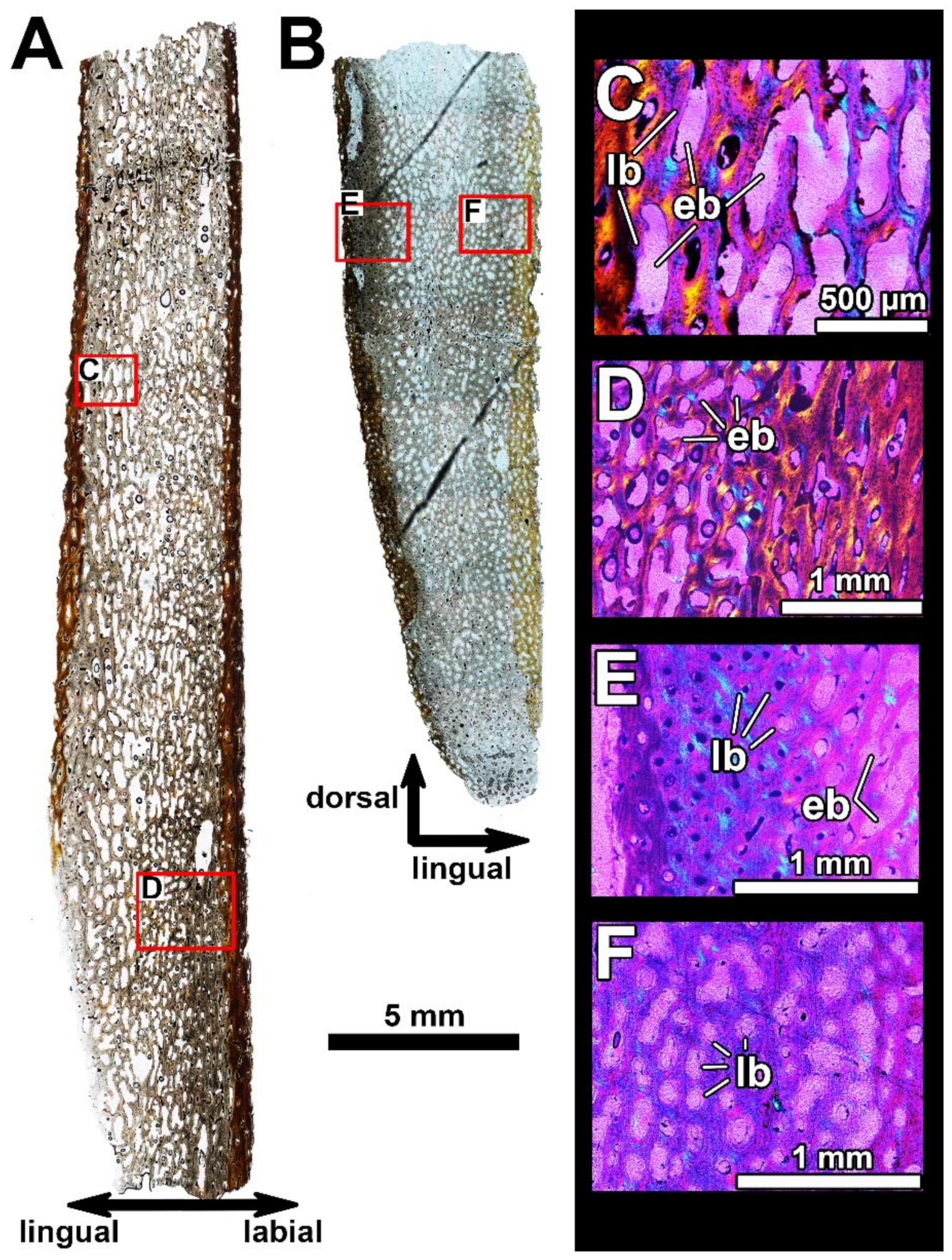 Diversity 15 00648 g009 Diversity 15 00648 g009