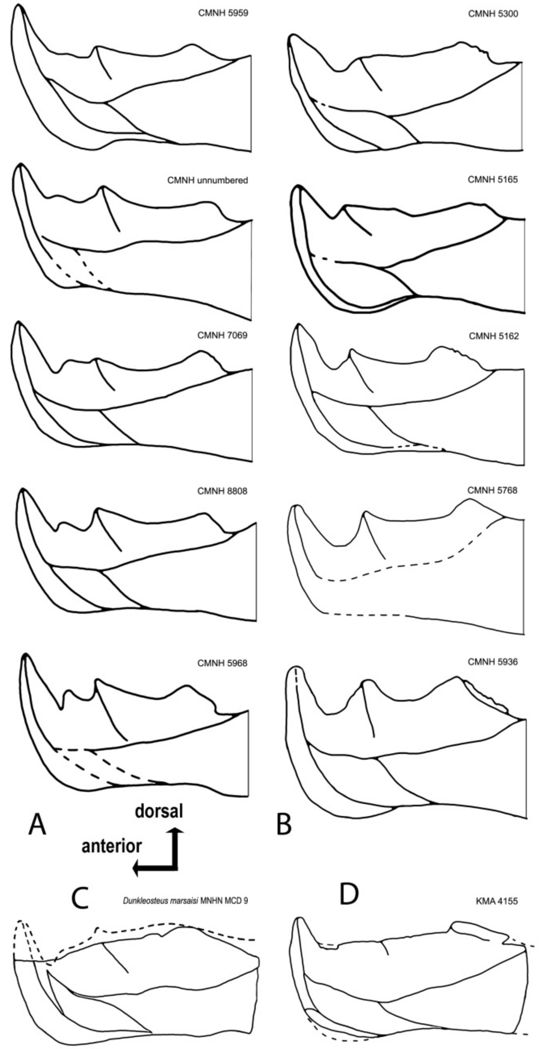 Diversity 15 00648 g012 Diversity 15 00648 g012