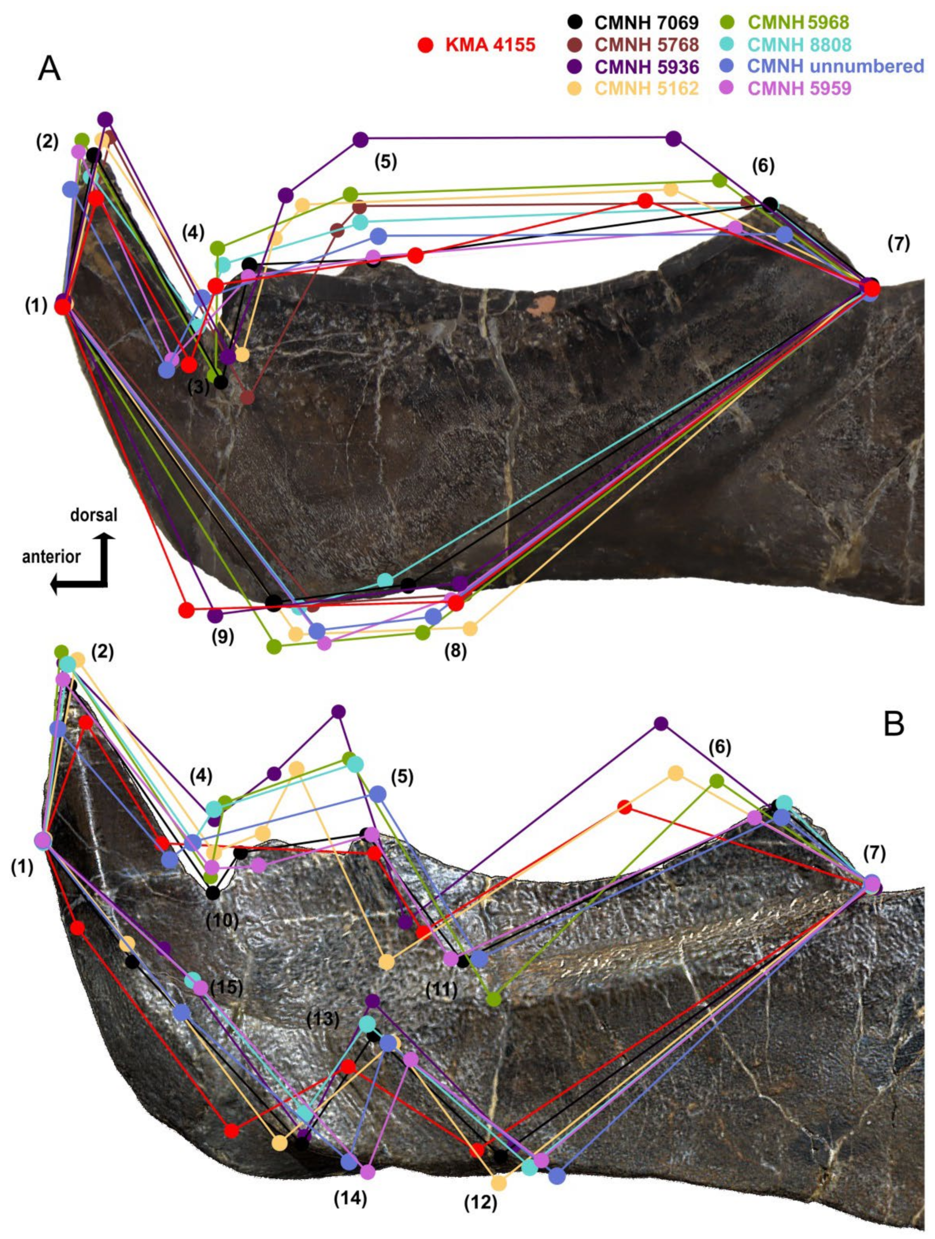 Diversity 15 00648 g013 Diversity 15 00648 g013