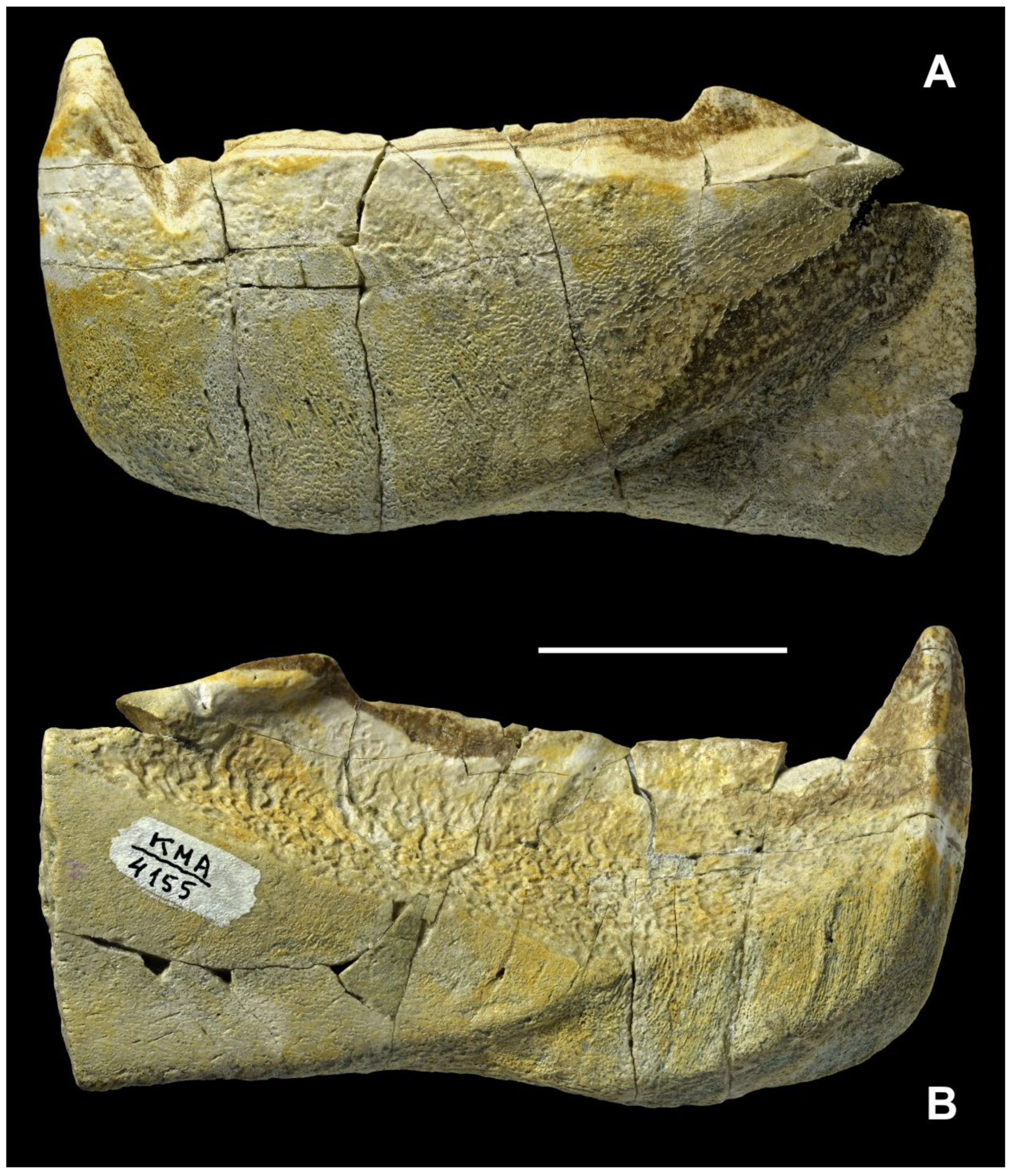 Diversity 15 00648 g014 Diversity 15 00648 g014