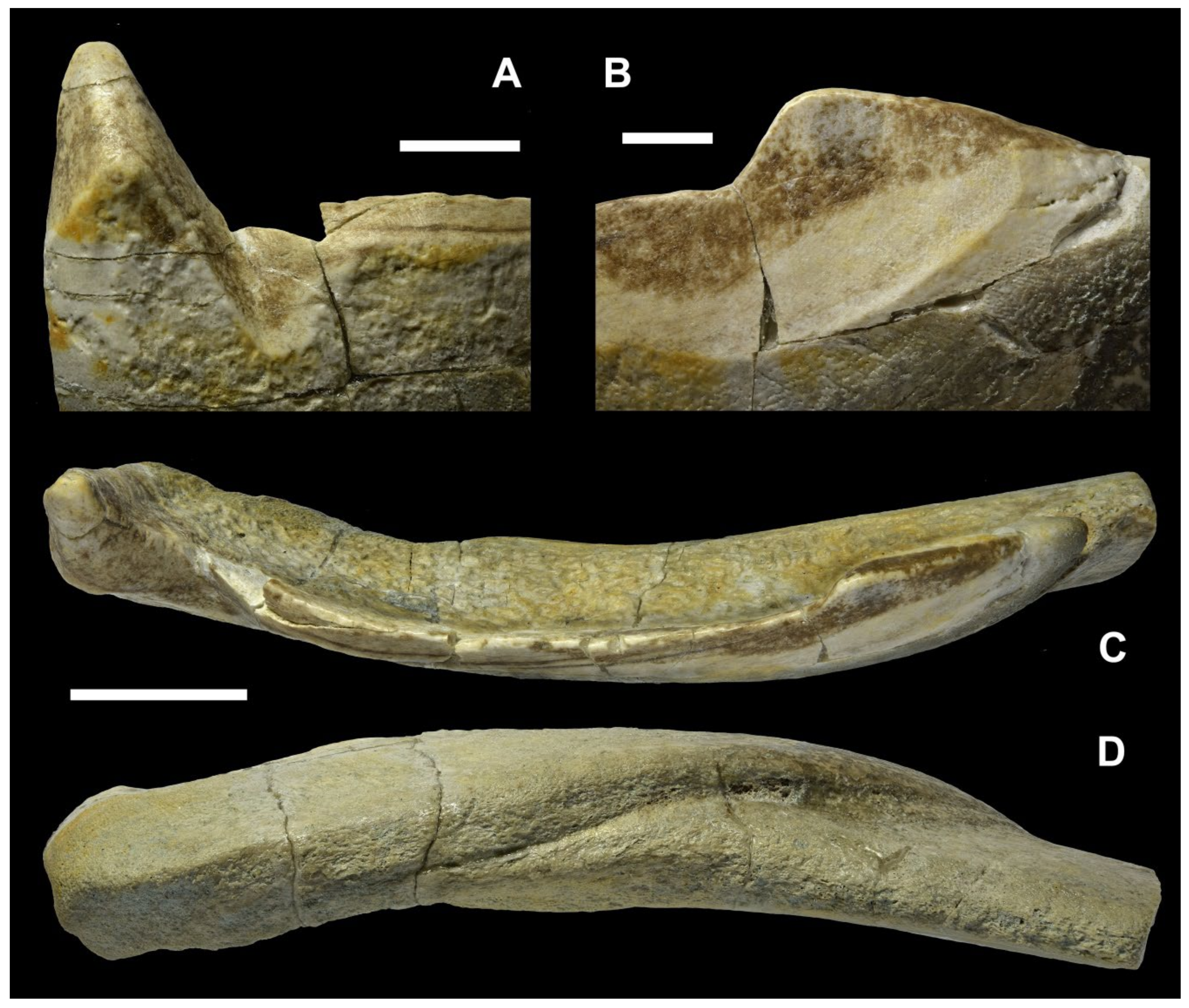 Diversity 15 00648 g015 Diversity 15 00648 g015