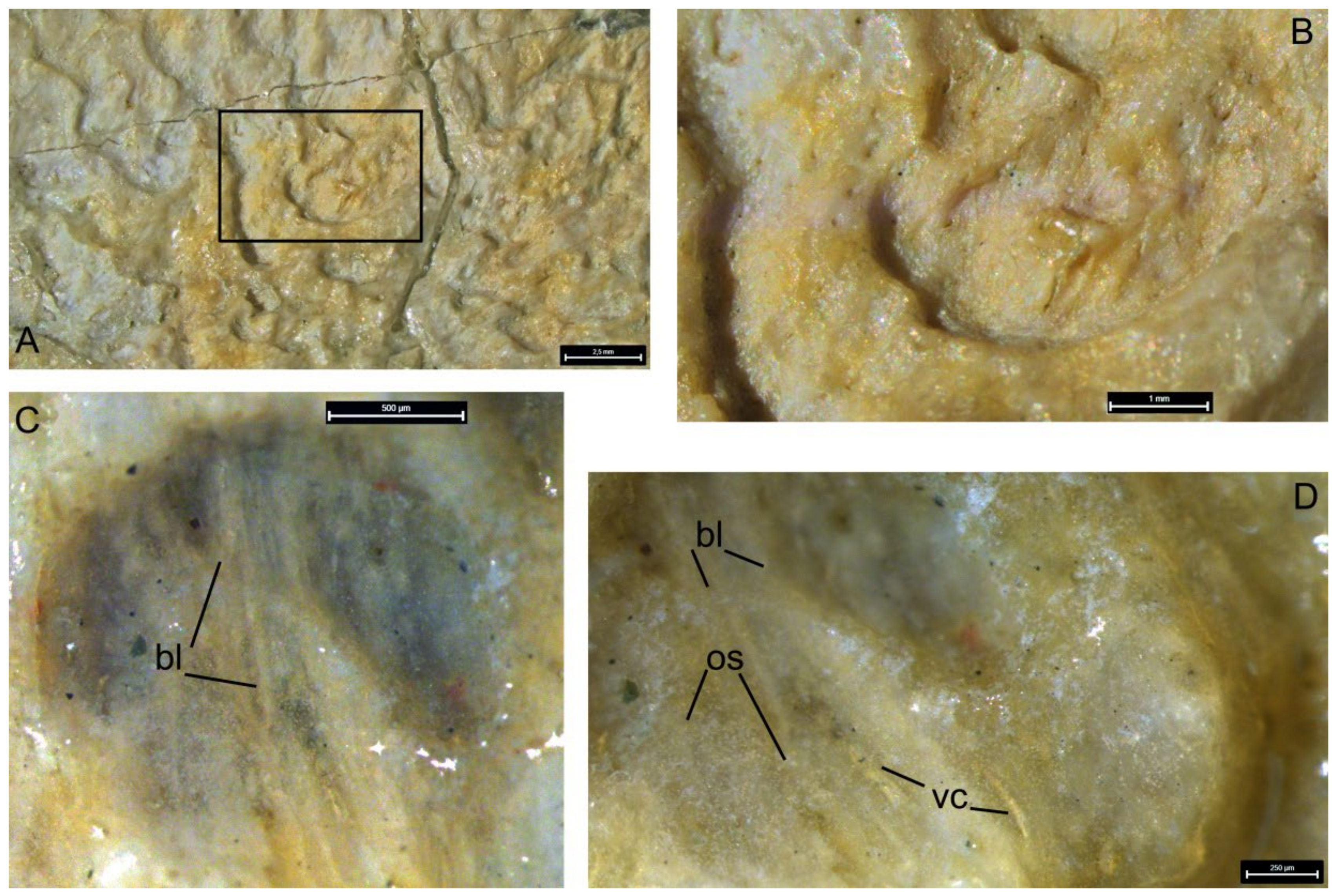 Diversity 15 00648 g017 Diversity 15 00648 g017