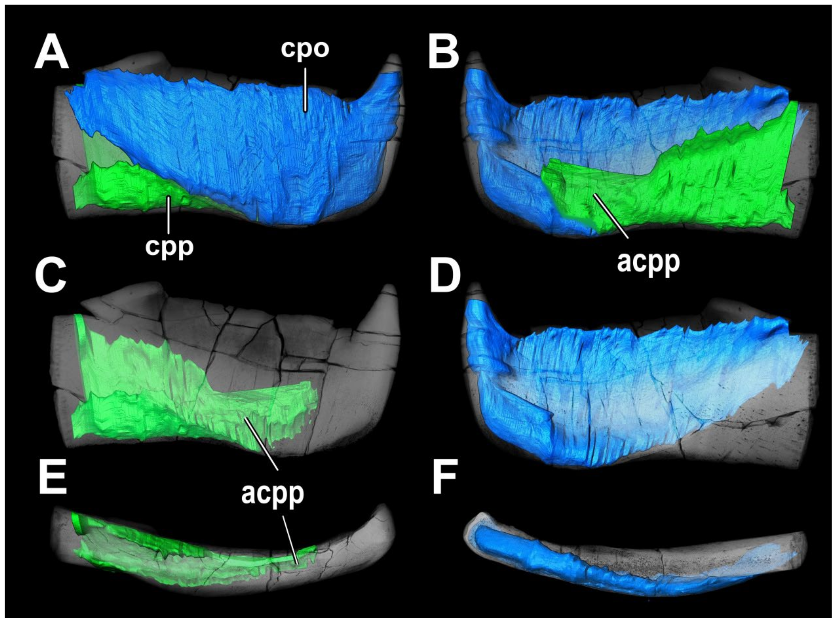 Diversity 15 00648 g019 Diversity 15 00648 g019