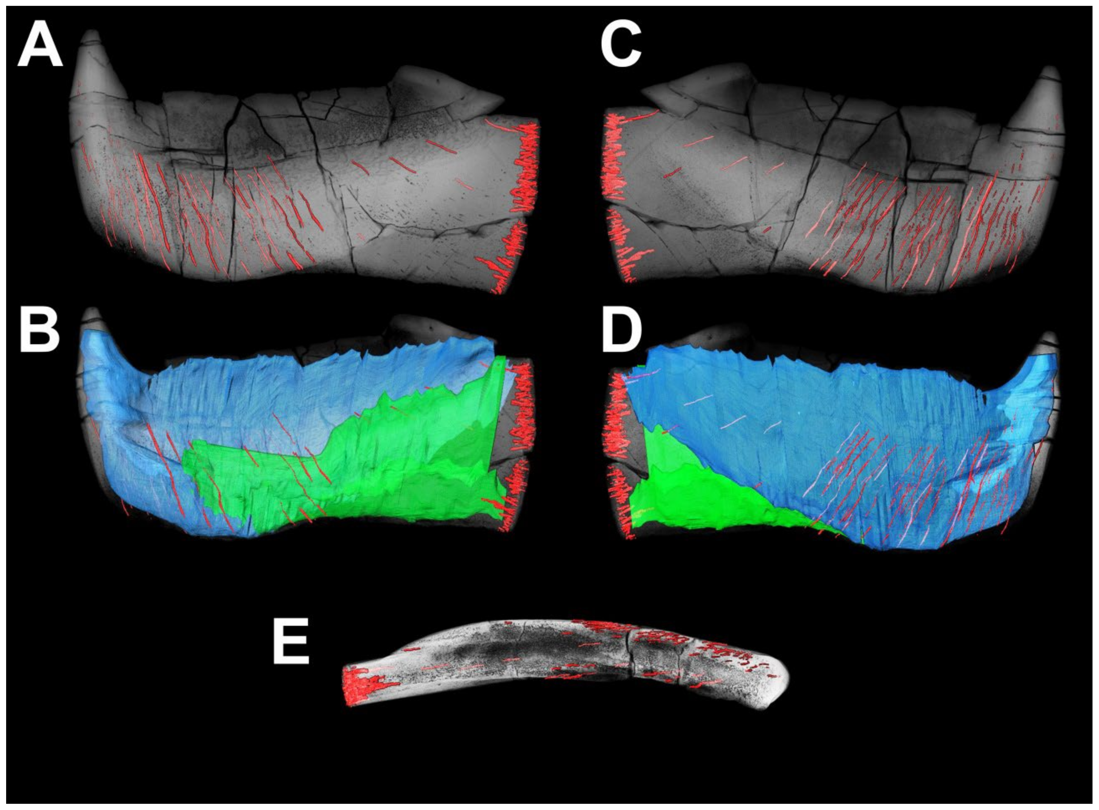 Diversity 15 00648 g020 Diversity 15 00648 g020