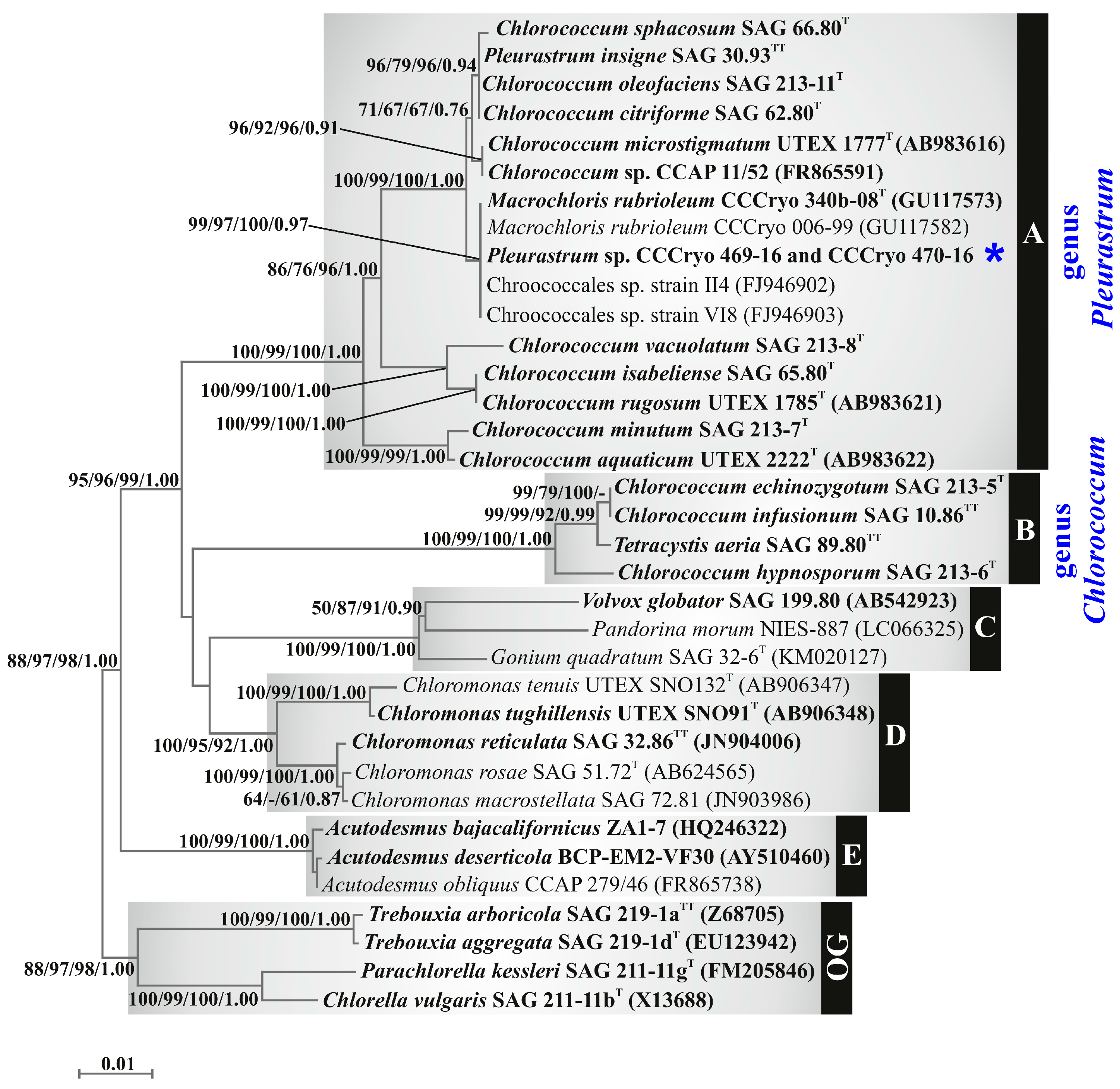 Diversity 15 00650 g005 Diversity 15 00650 g005