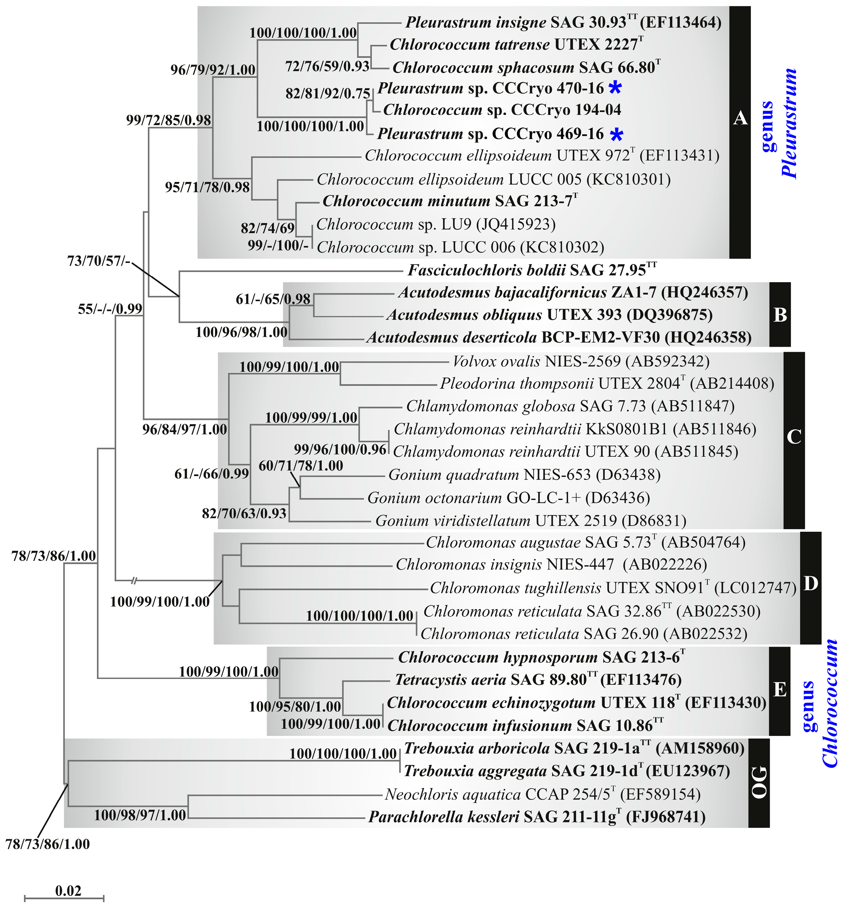 Diversity 15 00650 g006 Diversity 15 00650 g006