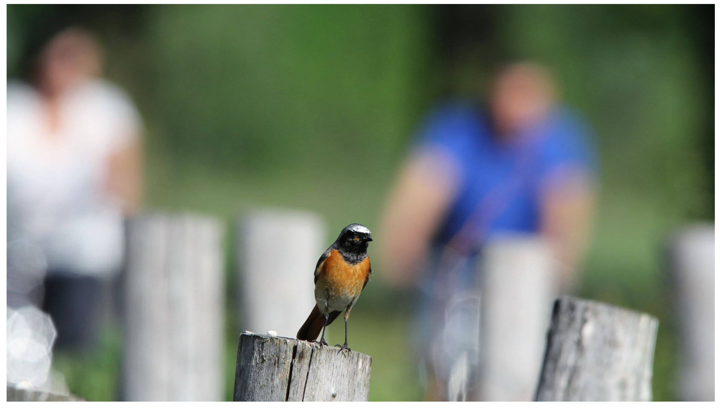 Diversity 15 00653 g001