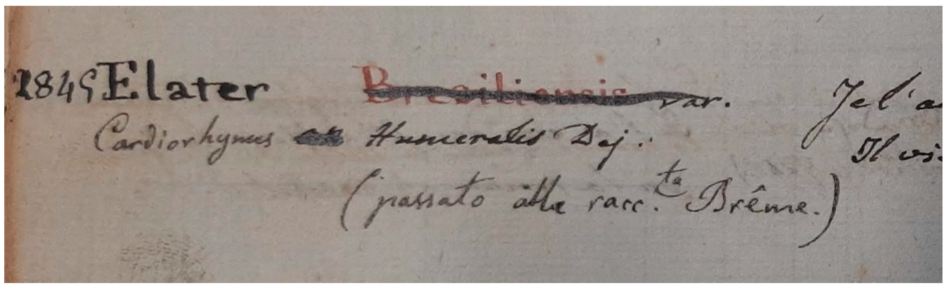 Diversity 15 00654 g008