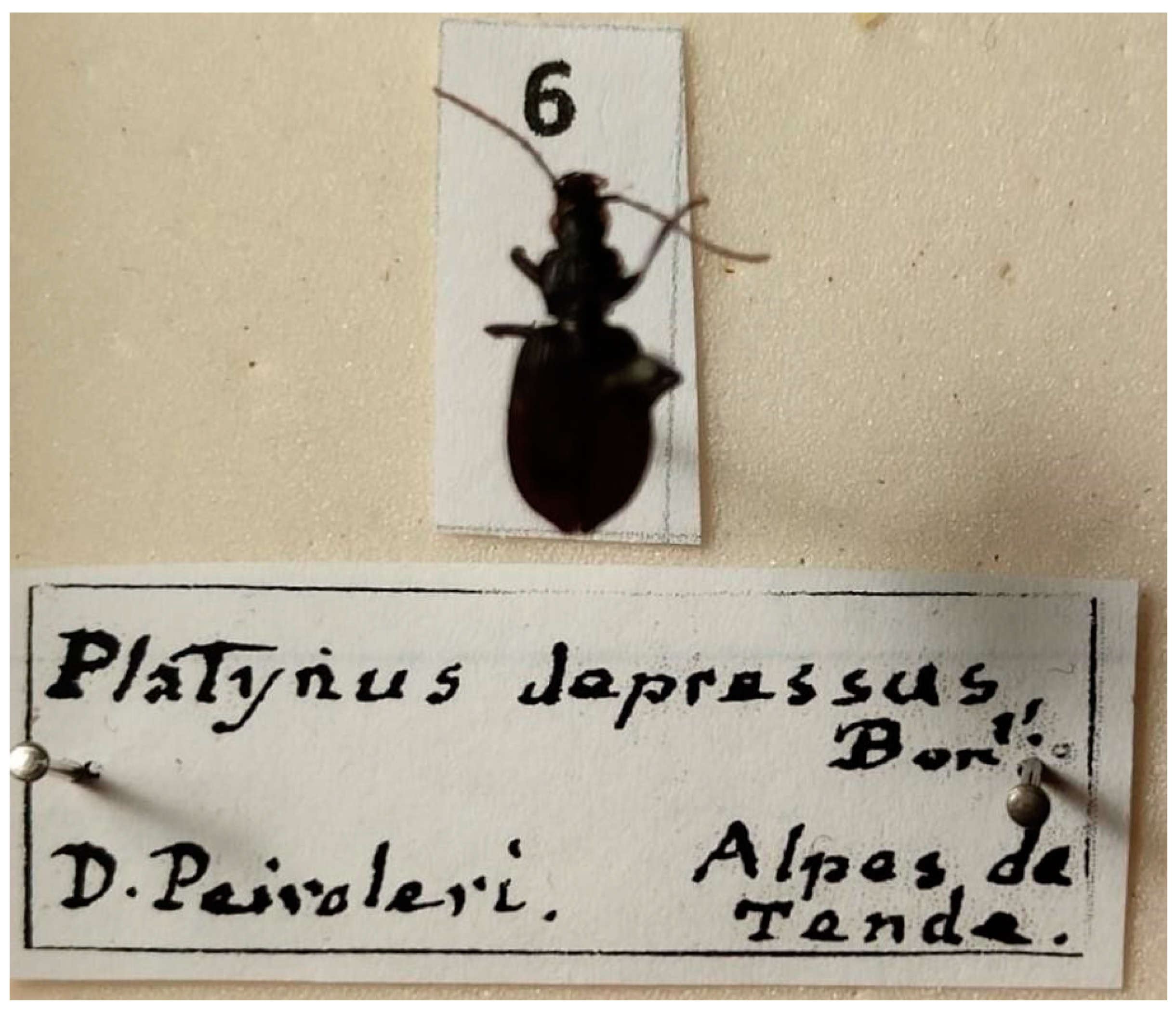 Diversity 15 00654 g014