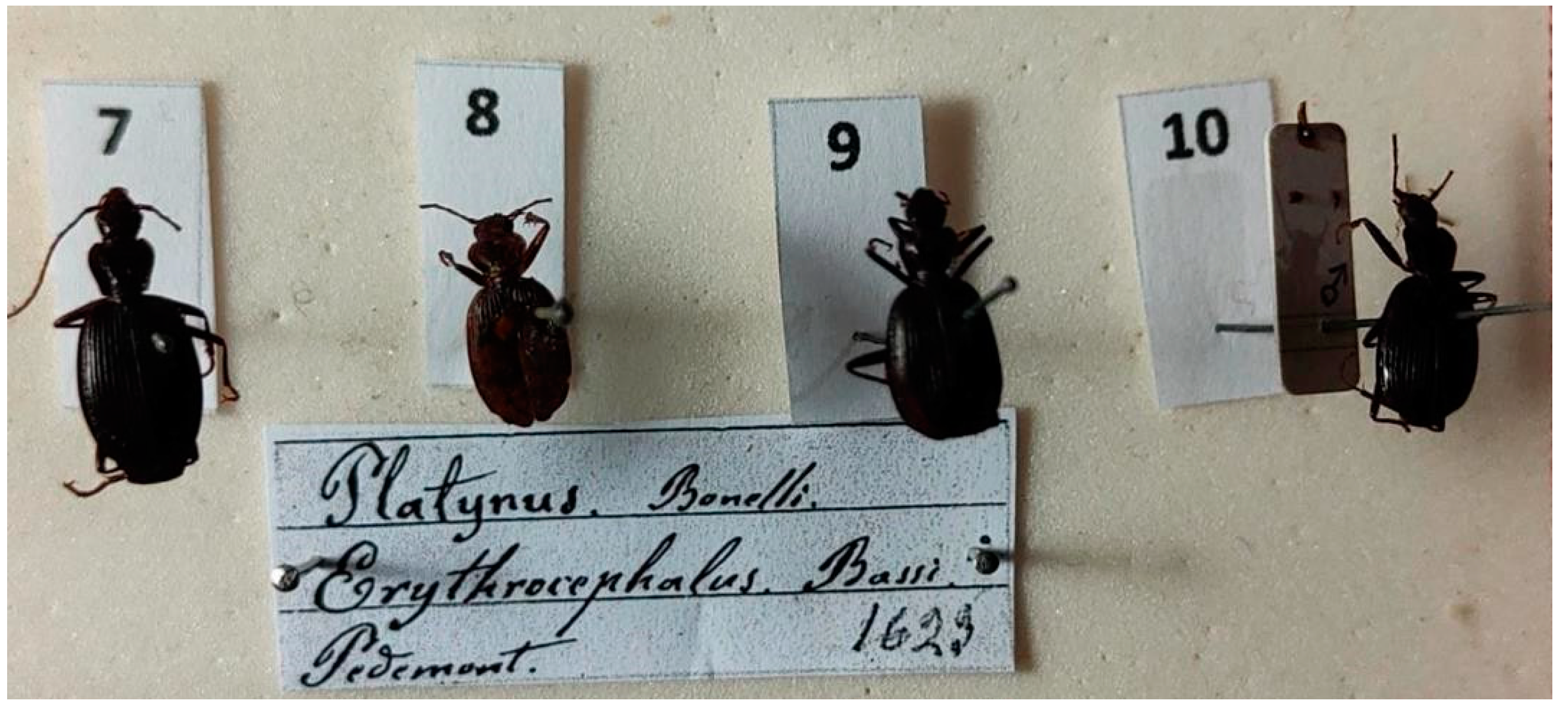 Diversity 15 00654 g015