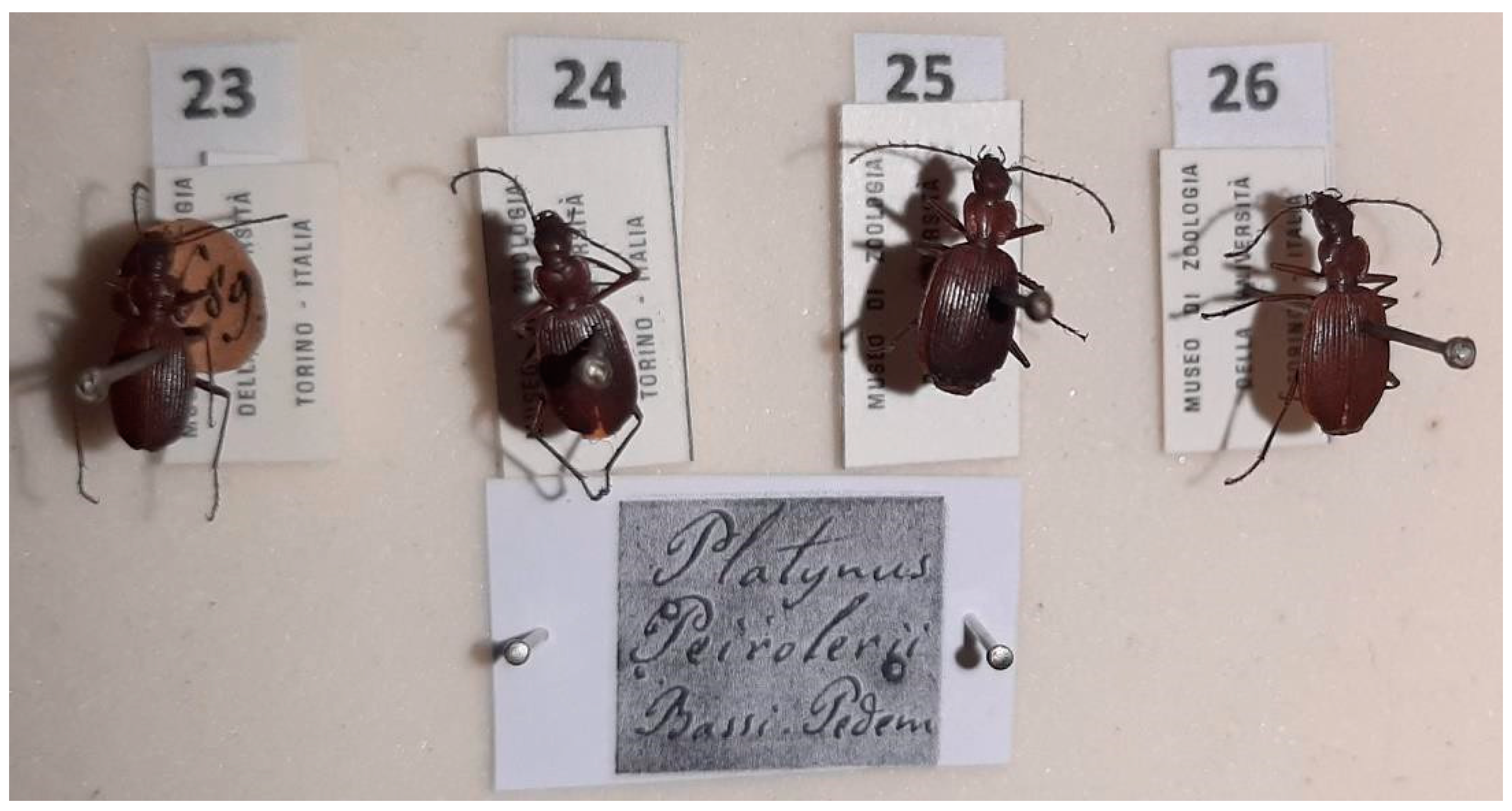 Diversity 15 00654 g023