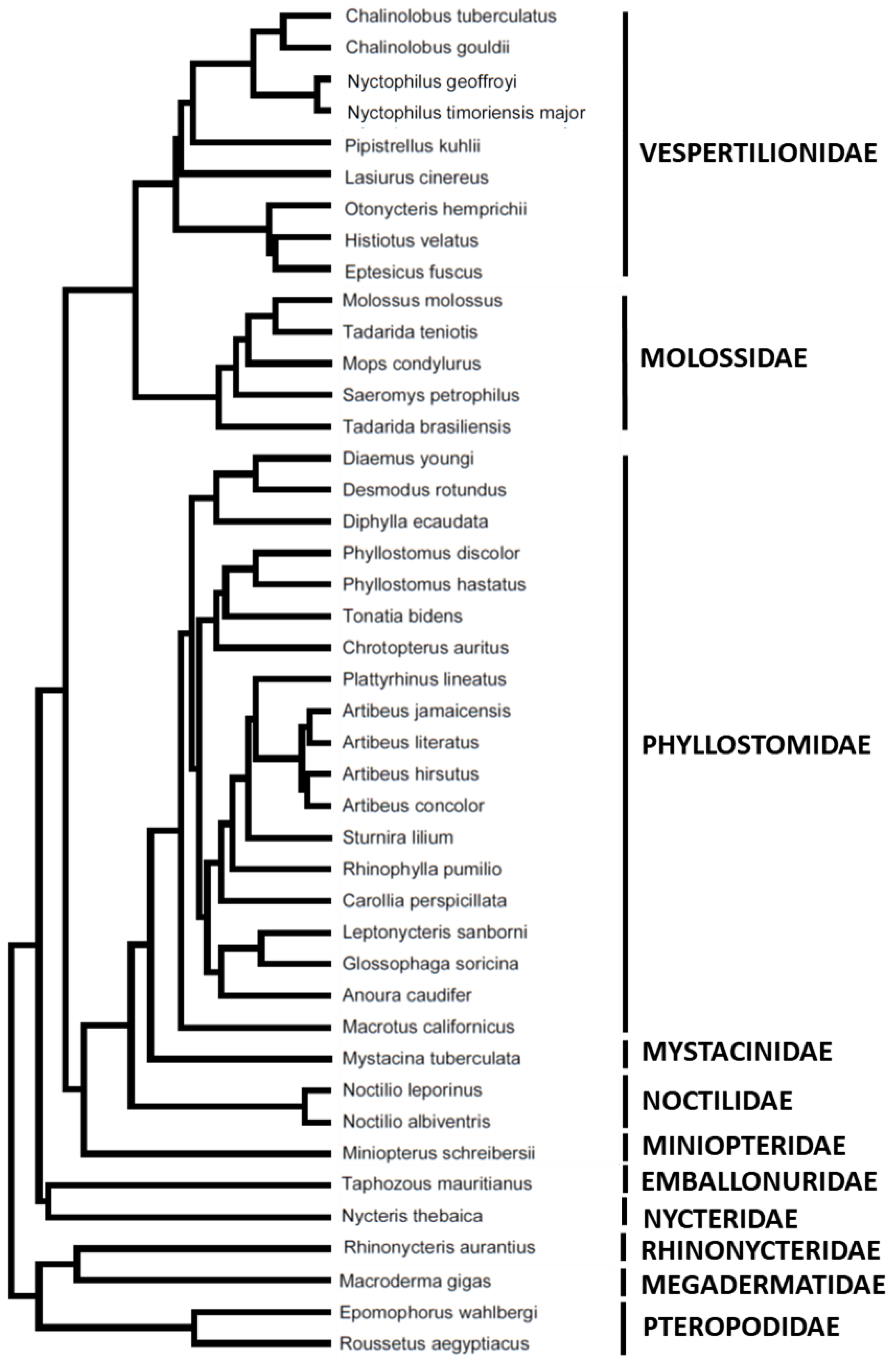 Diversity 15 00655 g002 Diversity 15 00655 g002