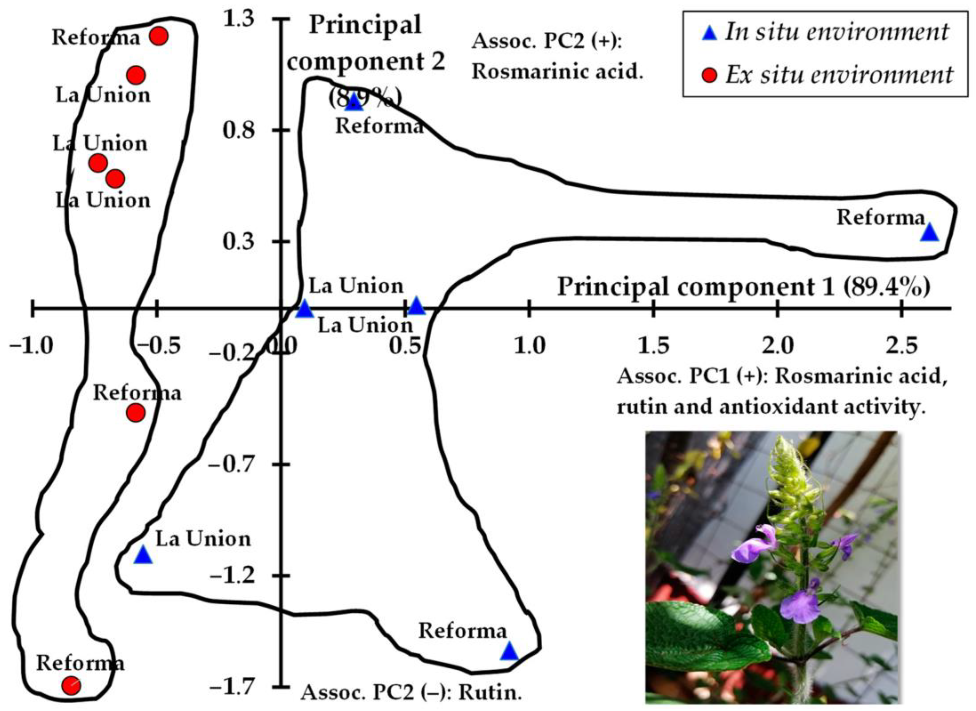 Diversity 15 00656 g002