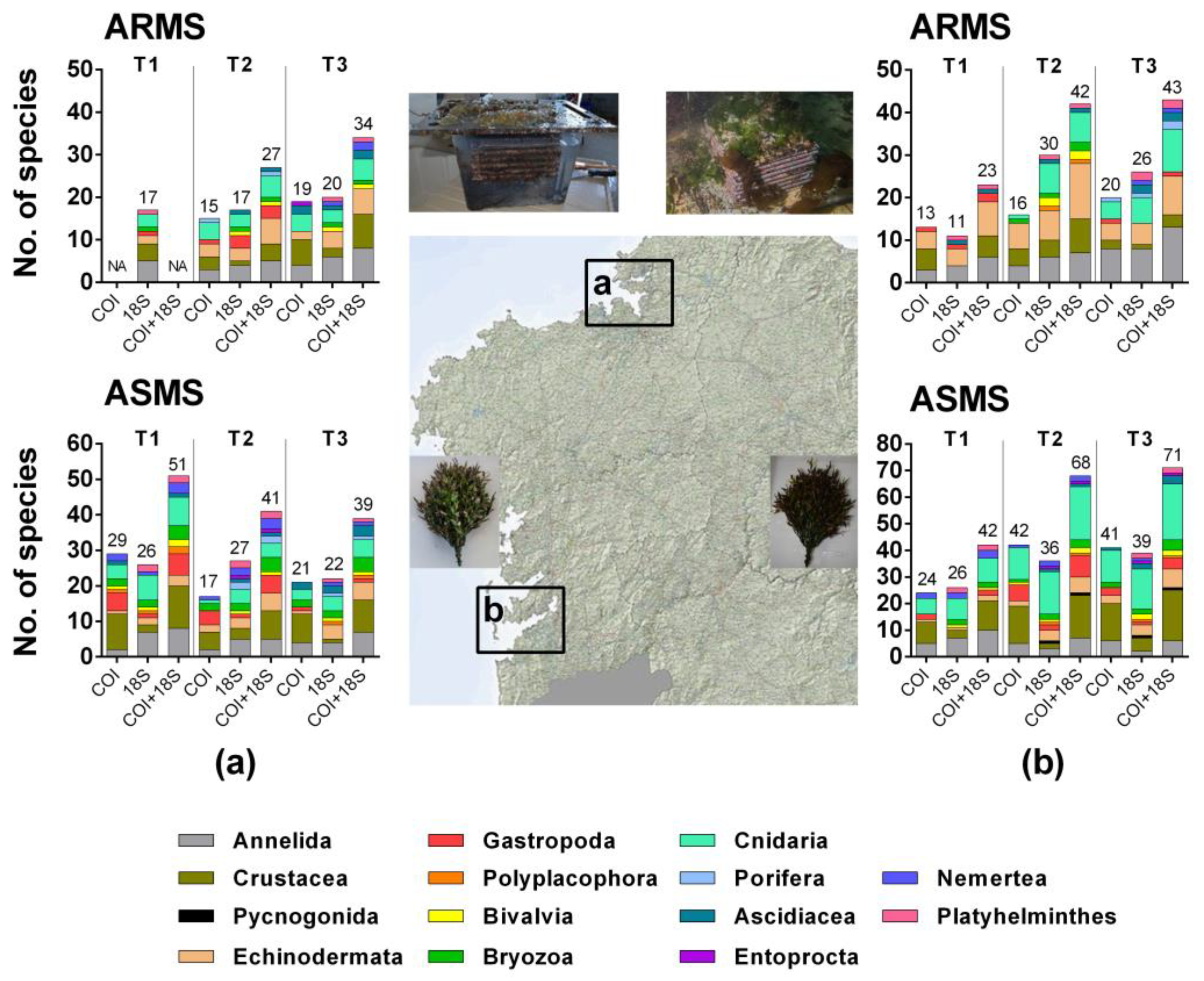 Diversity 15 00657 g004 Diversity 15 00657 g004