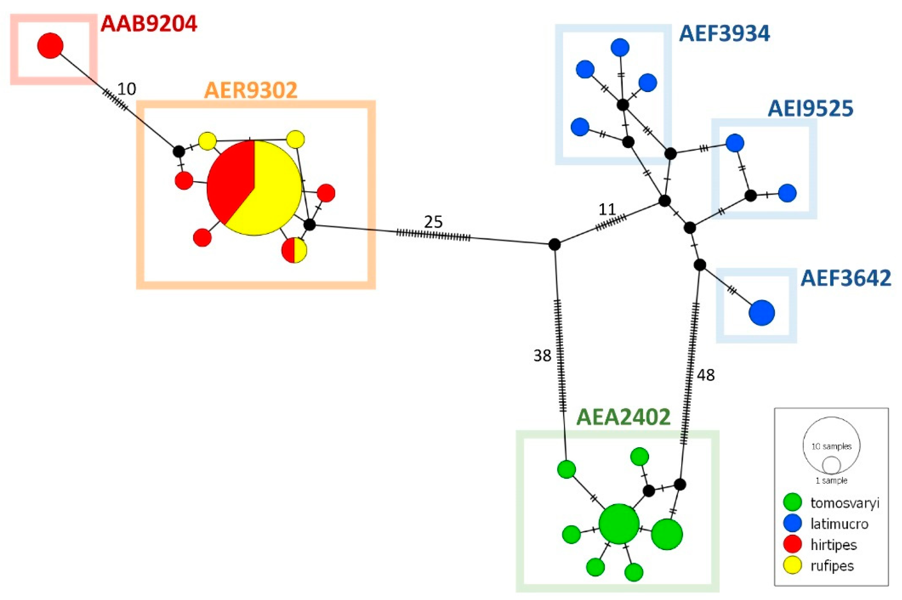 Diversity 15 00661 g003 Diversity 15 00661 g003