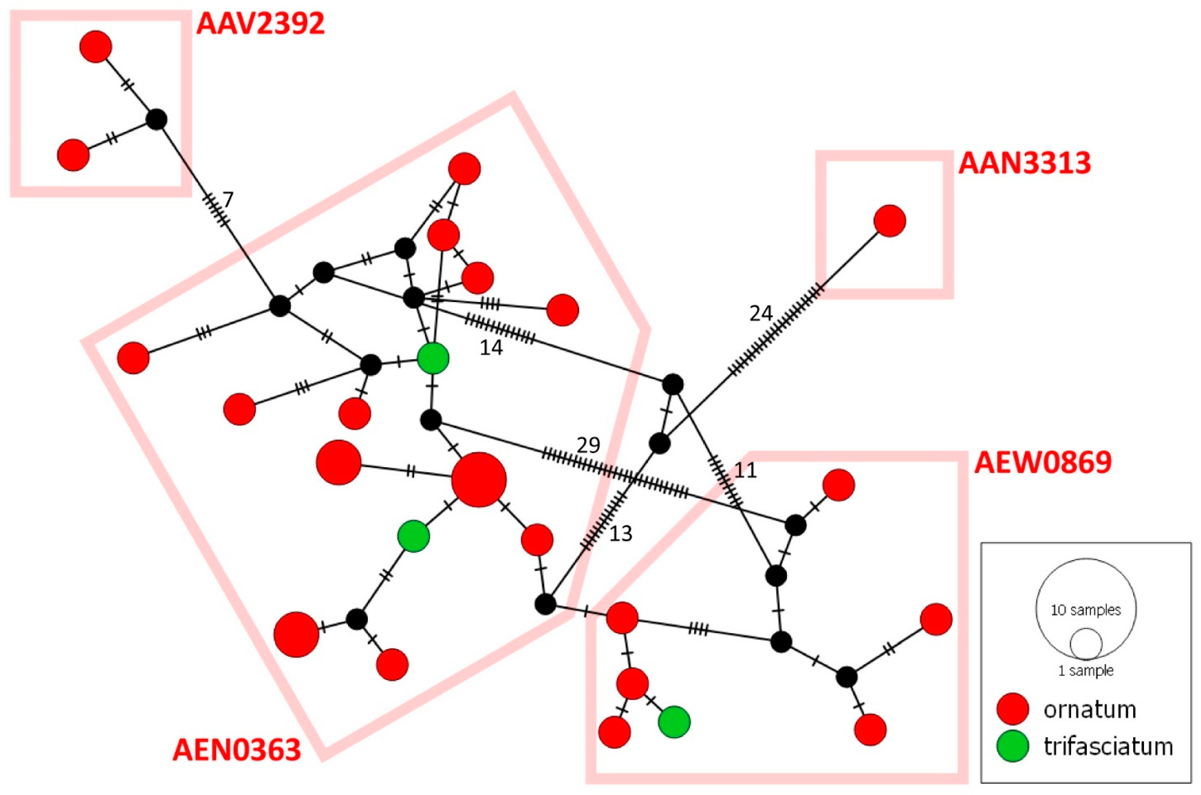 Diversity 15 00661 g005 Diversity 15 00661 g005