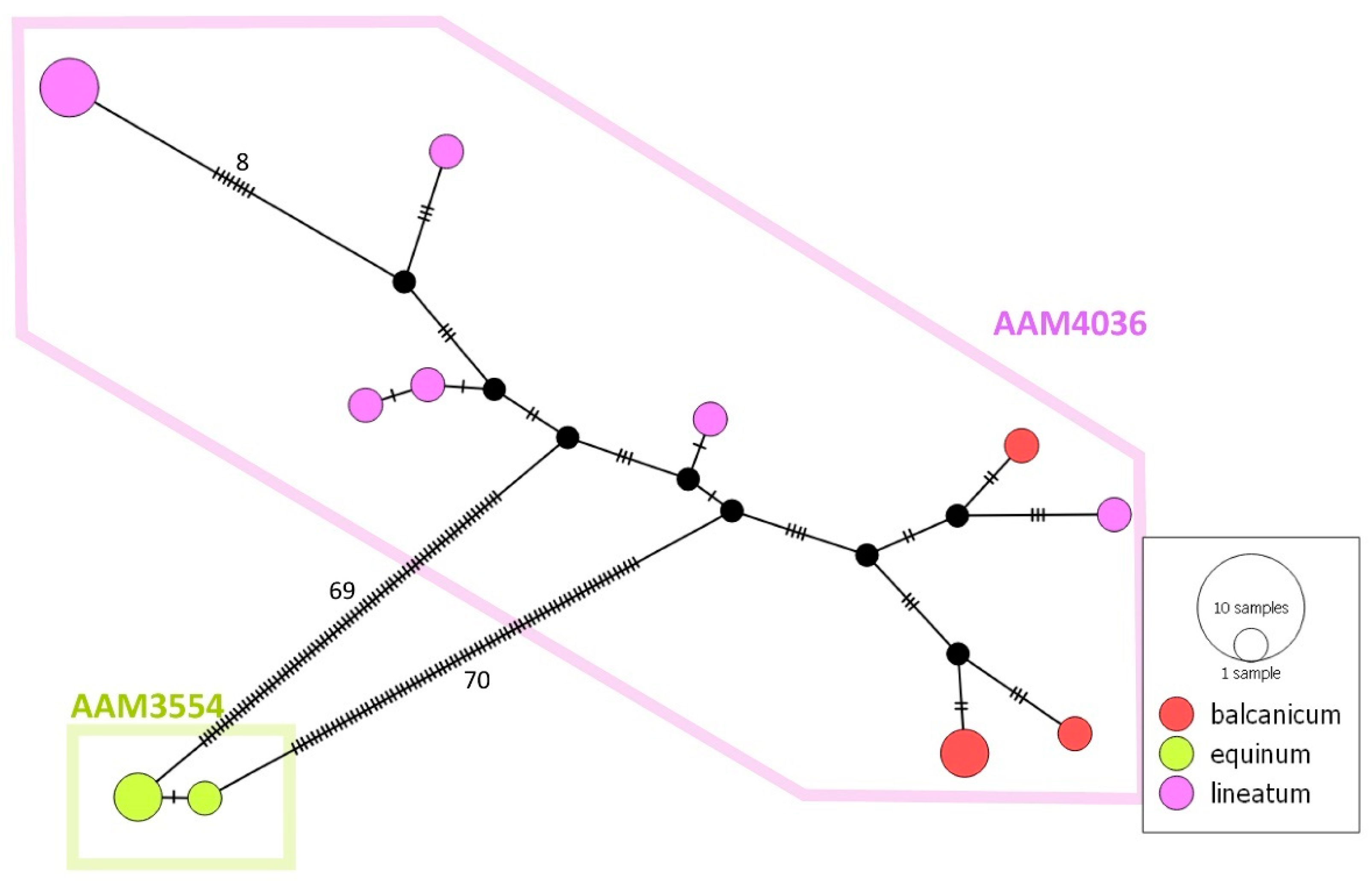 Diversity 15 00661 g007 Diversity 15 00661 g007