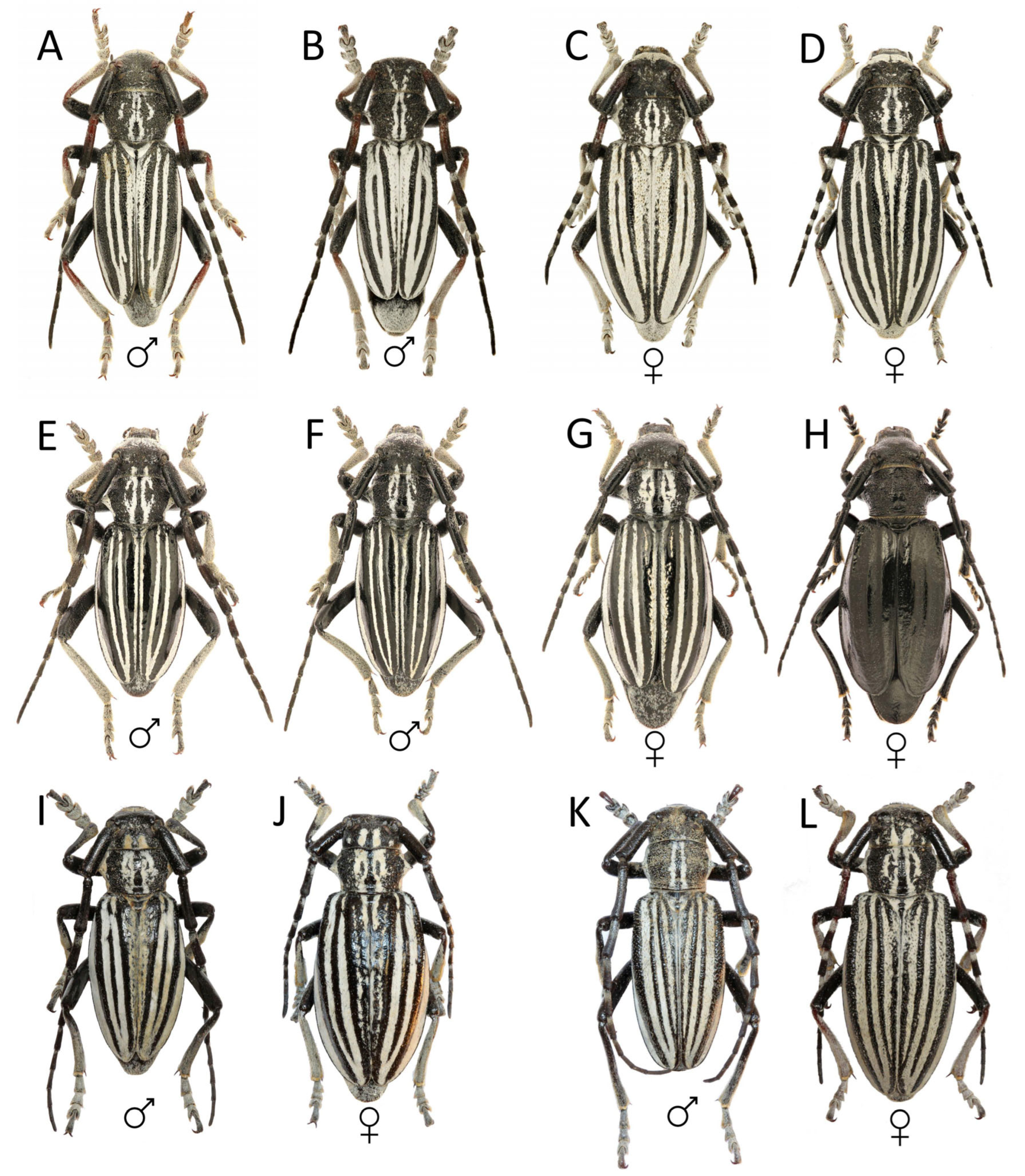 Diversity 15 00662 g001