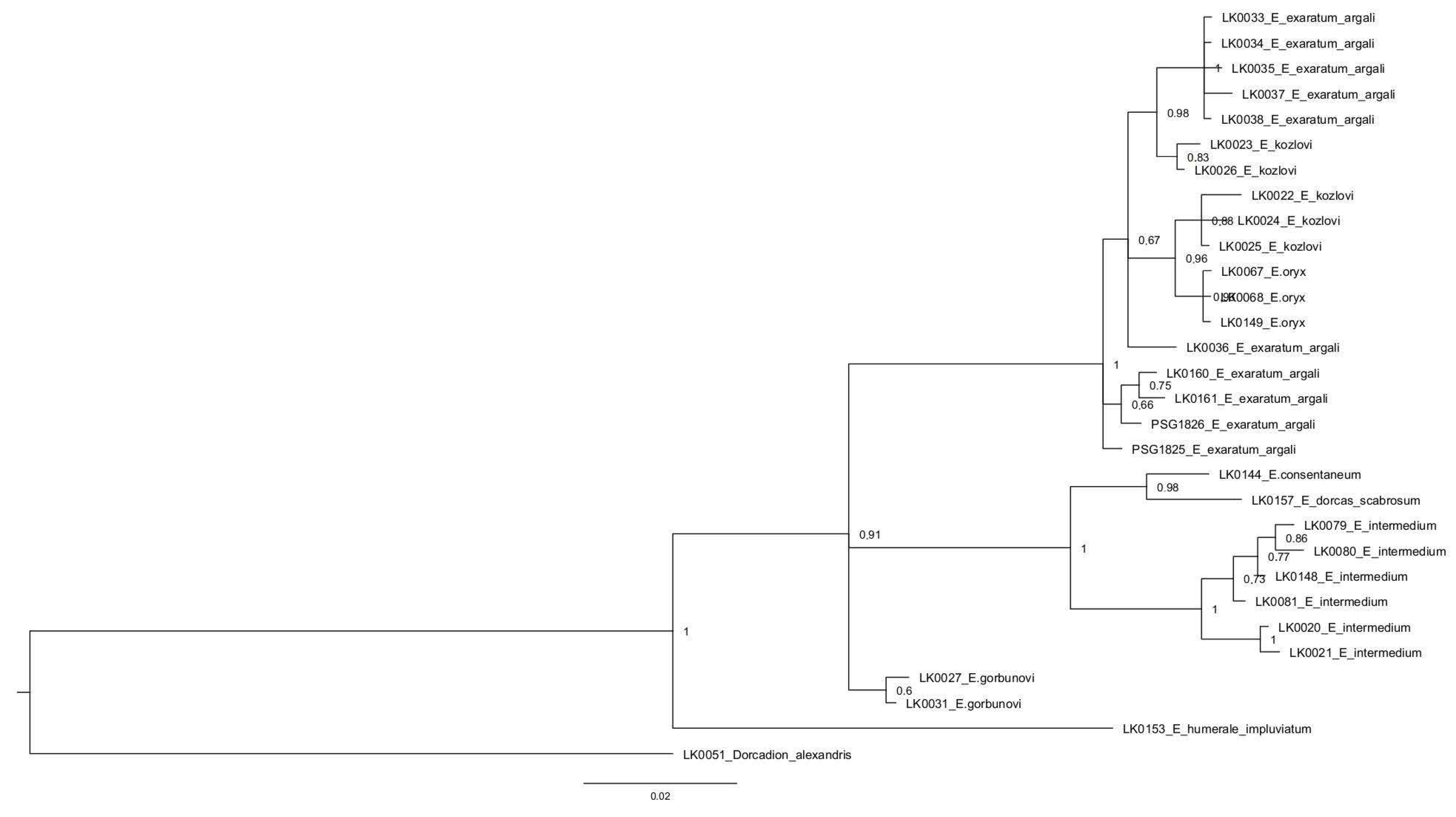 Diversity 15 00662 g003