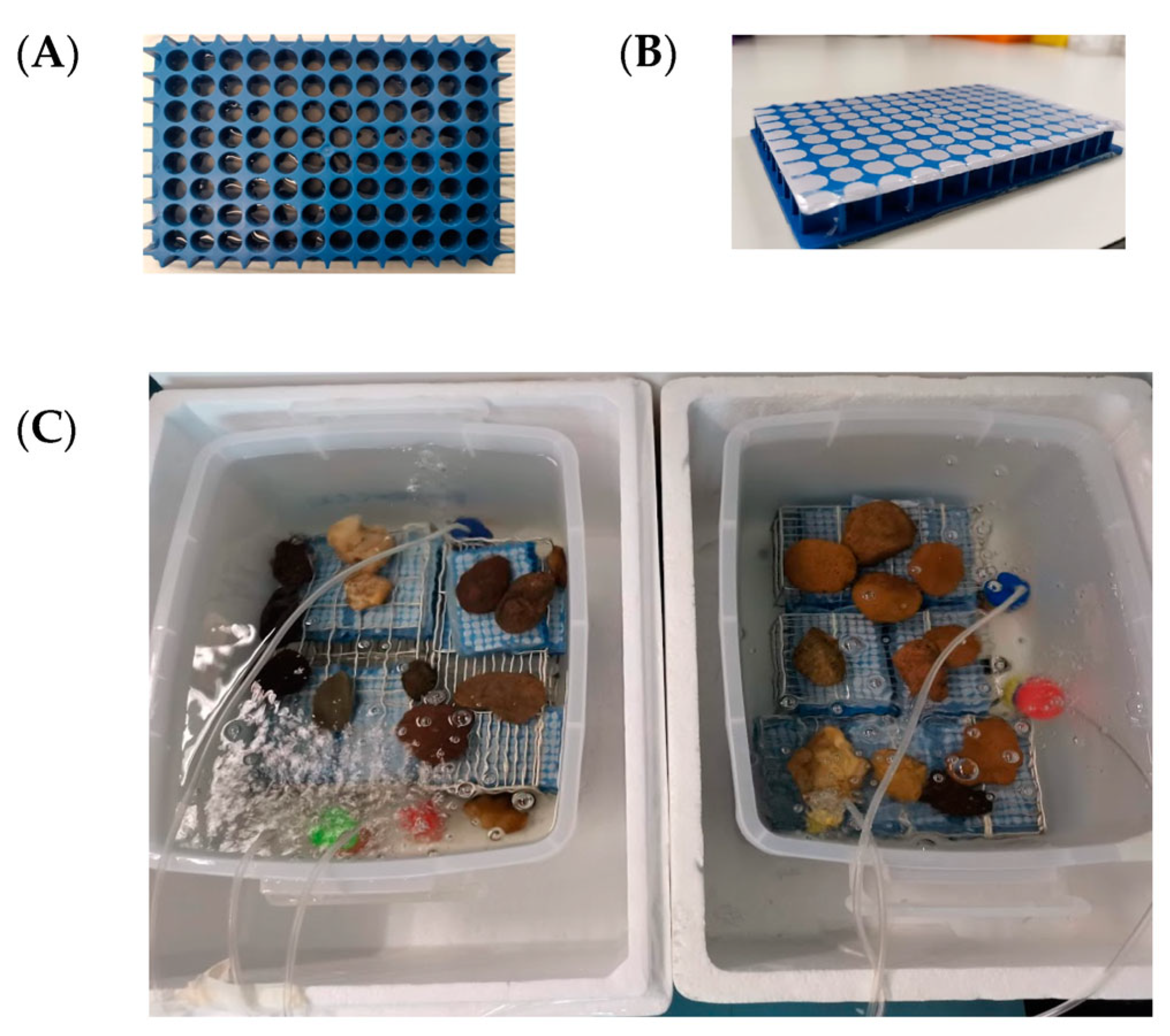 Diversity 15 00663 g002 Diversity 15 00663 g002