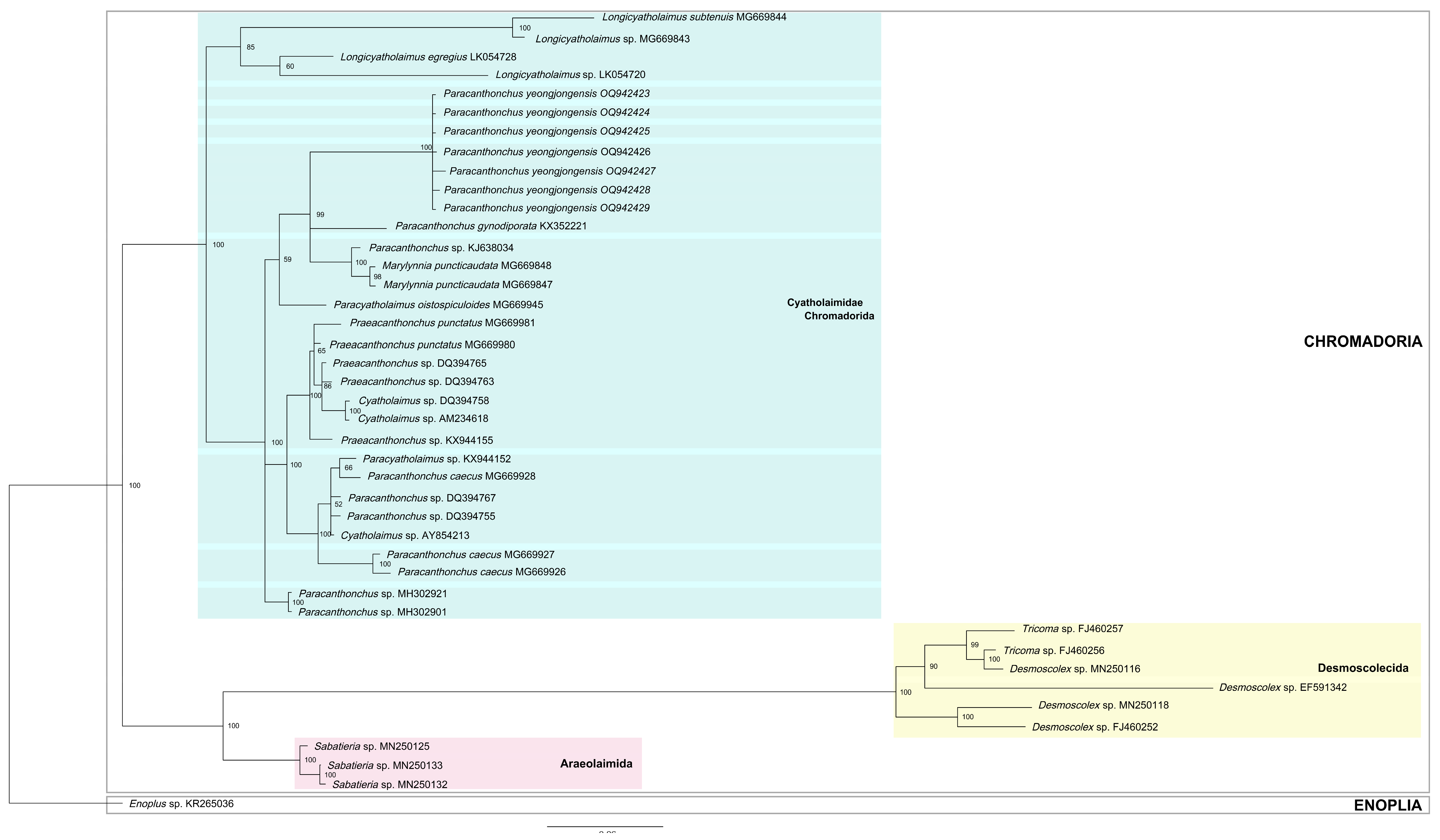Diversity 15 00664 g004