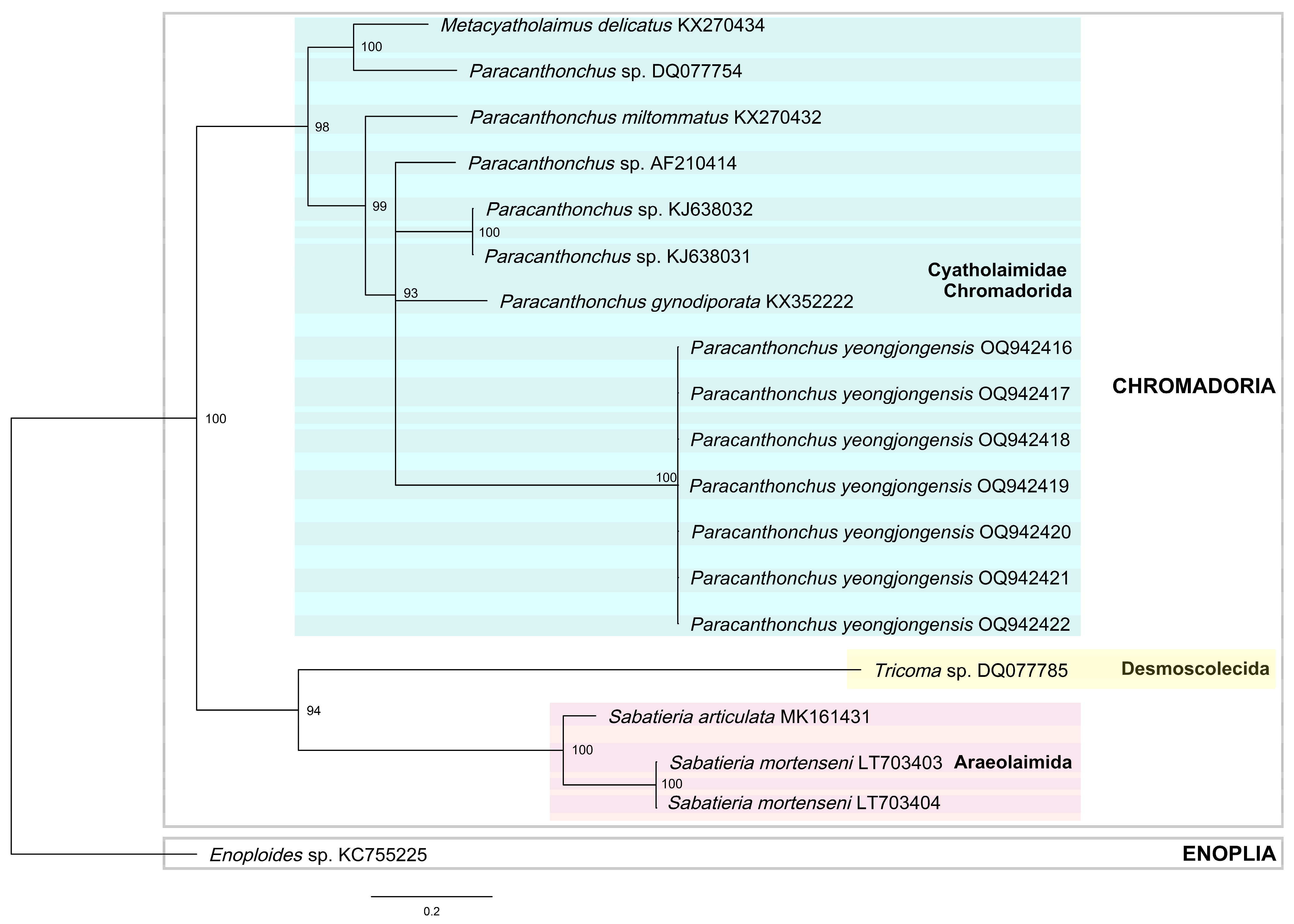 Diversity 15 00664 g005