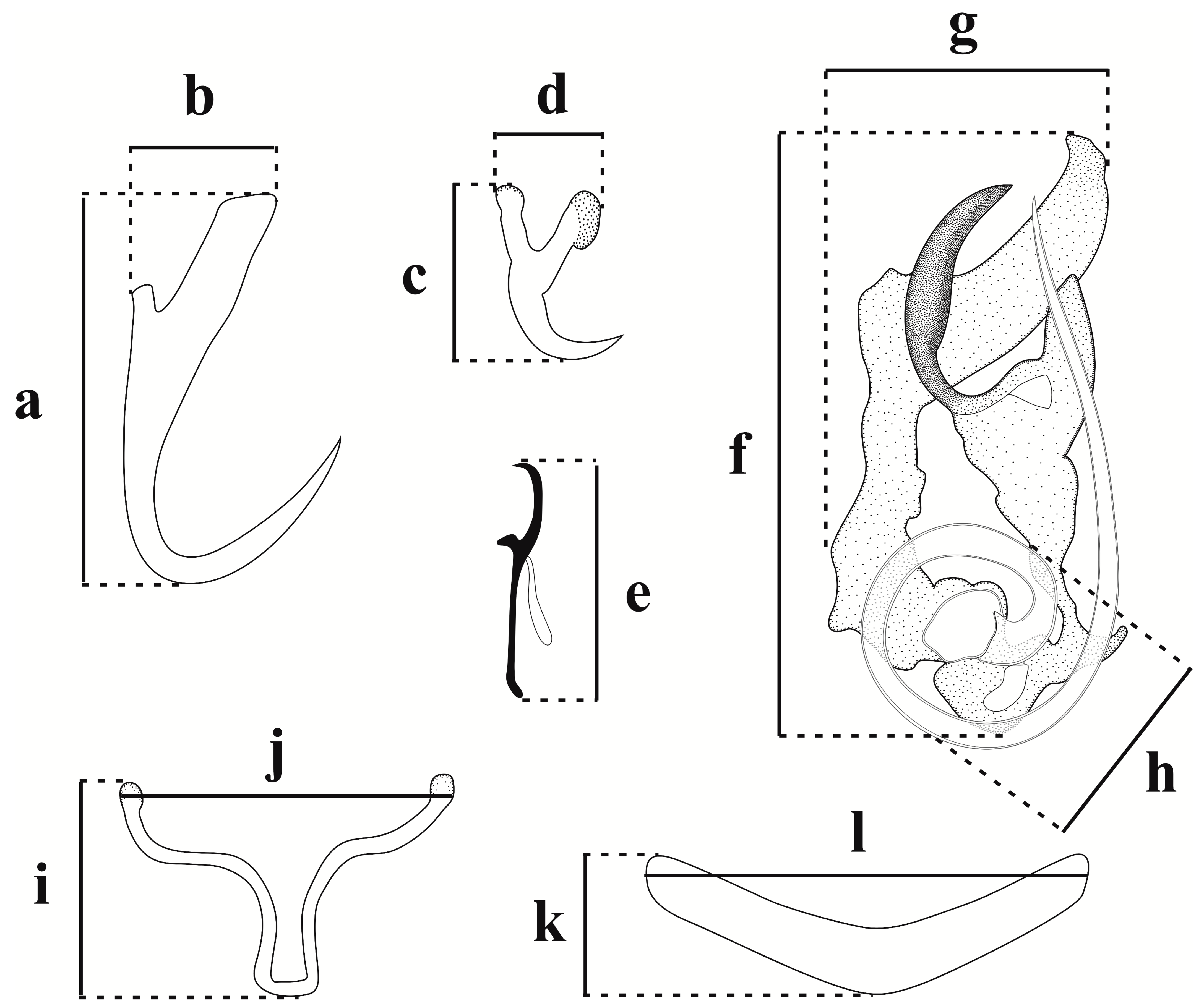 Diversity 15 00667 g001