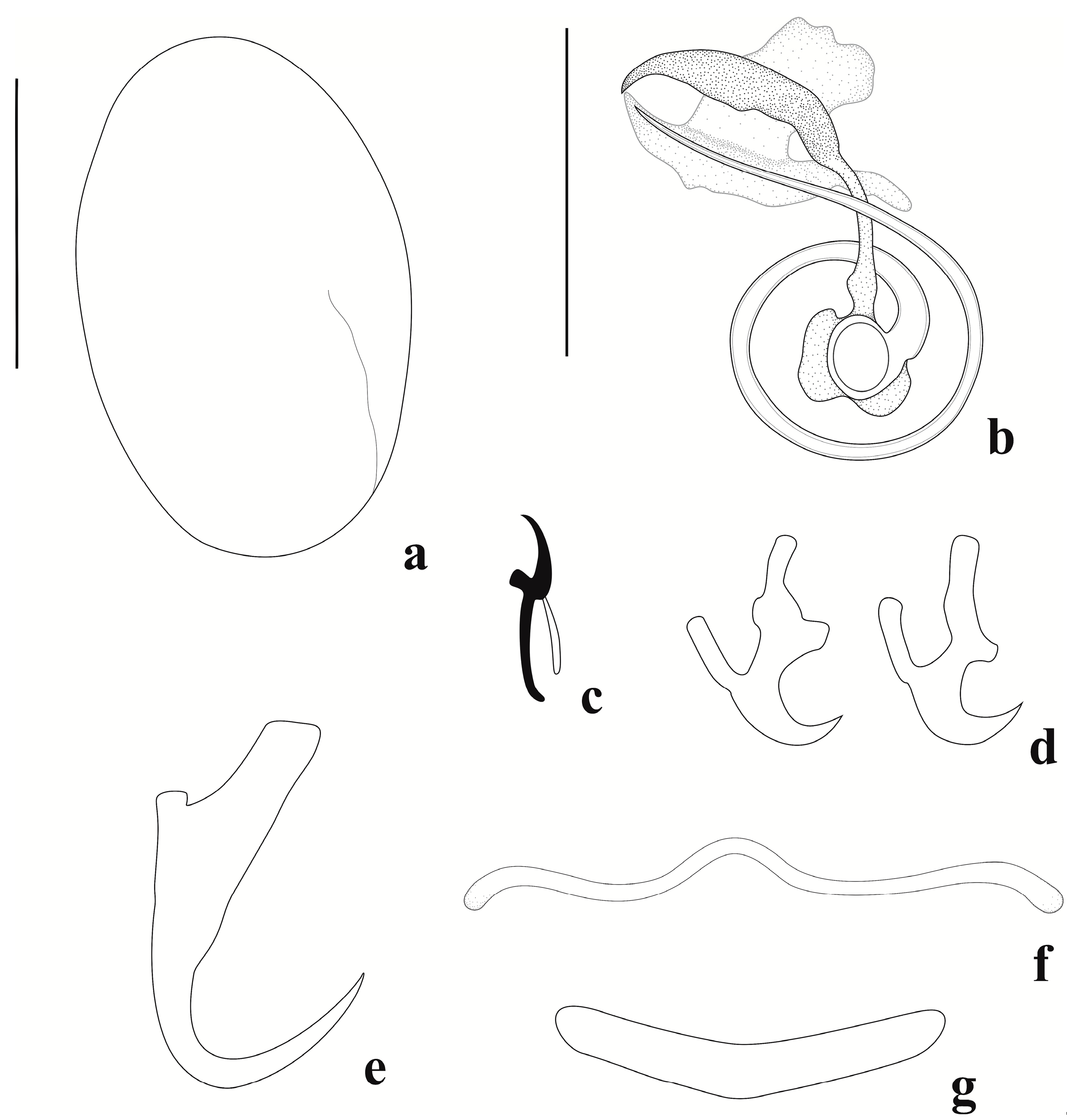 Diversity 15 00667 g004