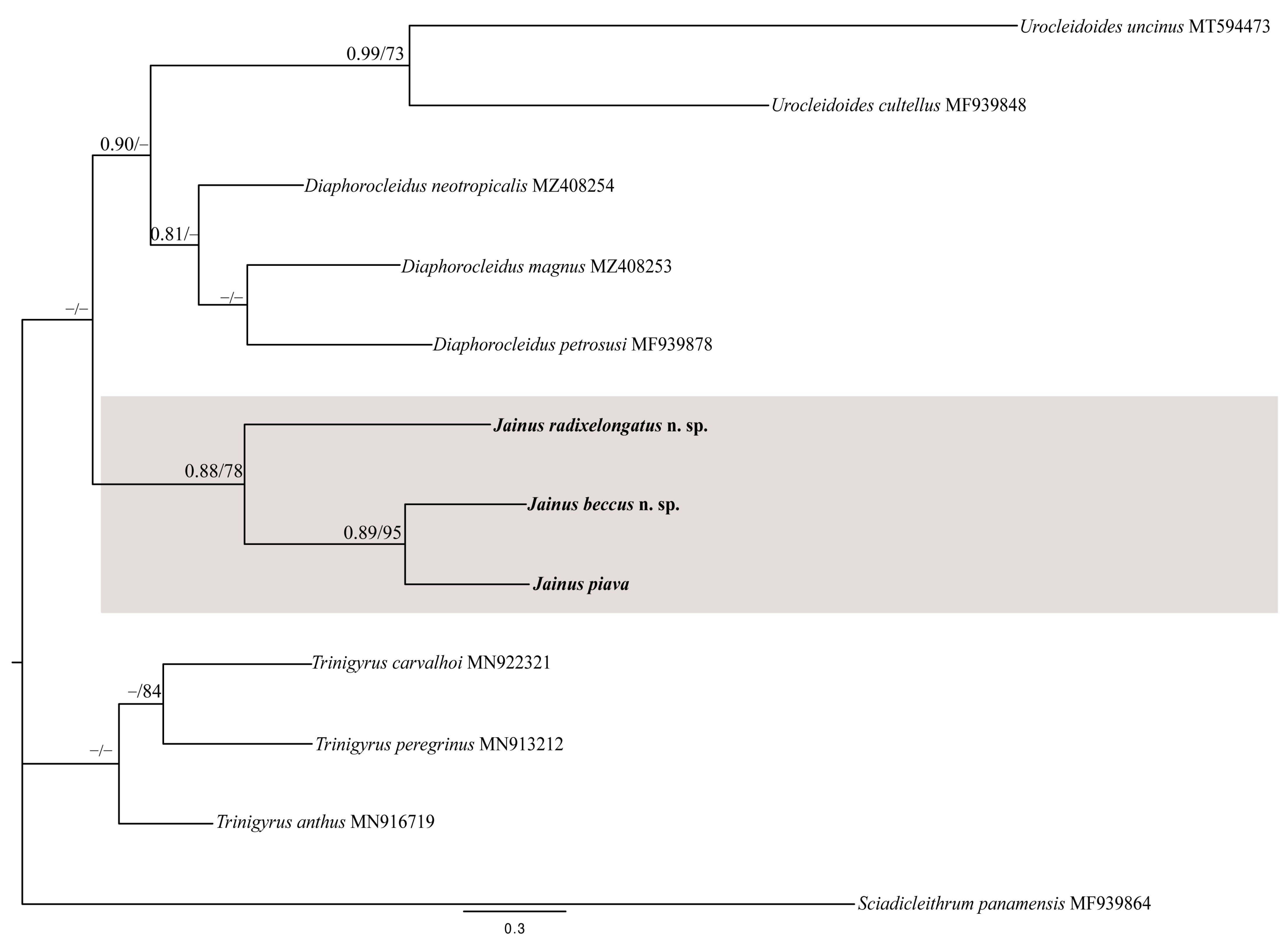 Diversity 15 00667 g007