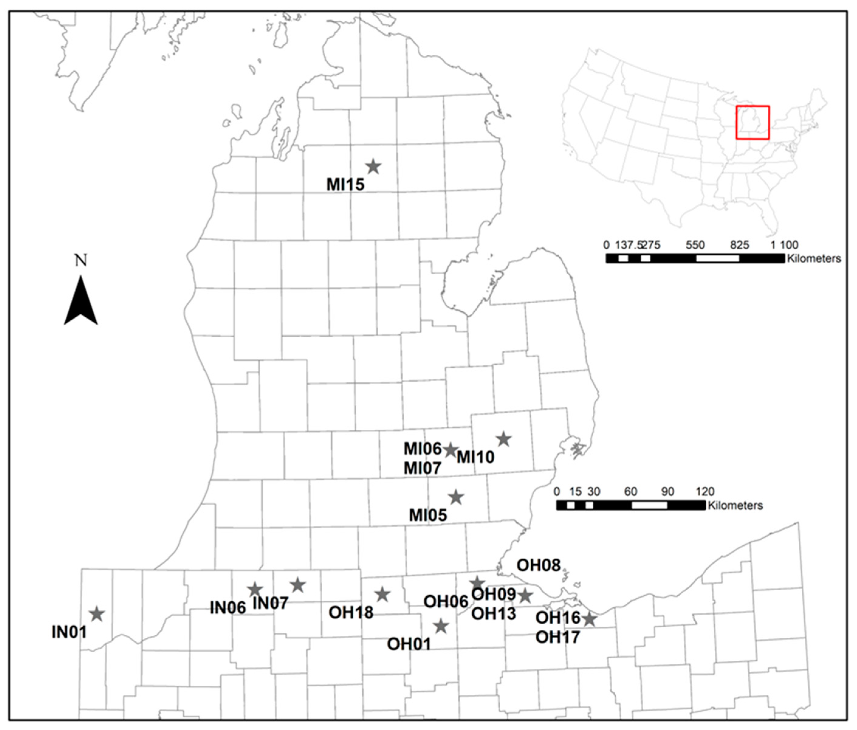 Diversity 15 00668 g001