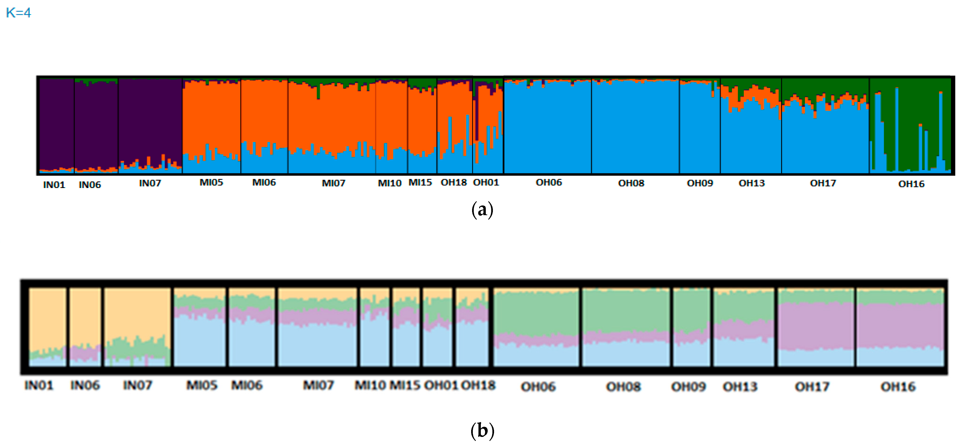 Diversity 15 00668 g004