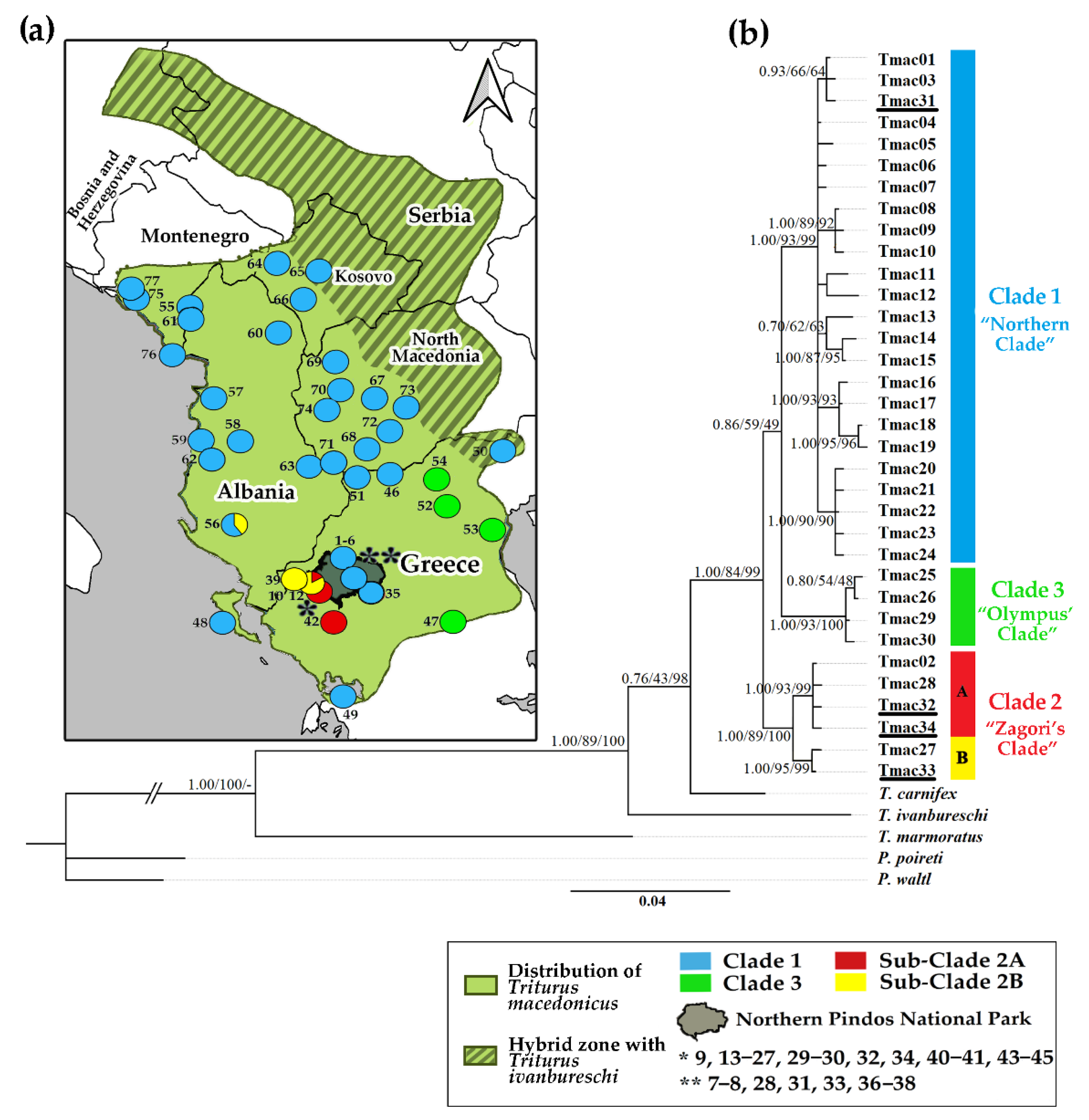 Diversity 15 00671 g001