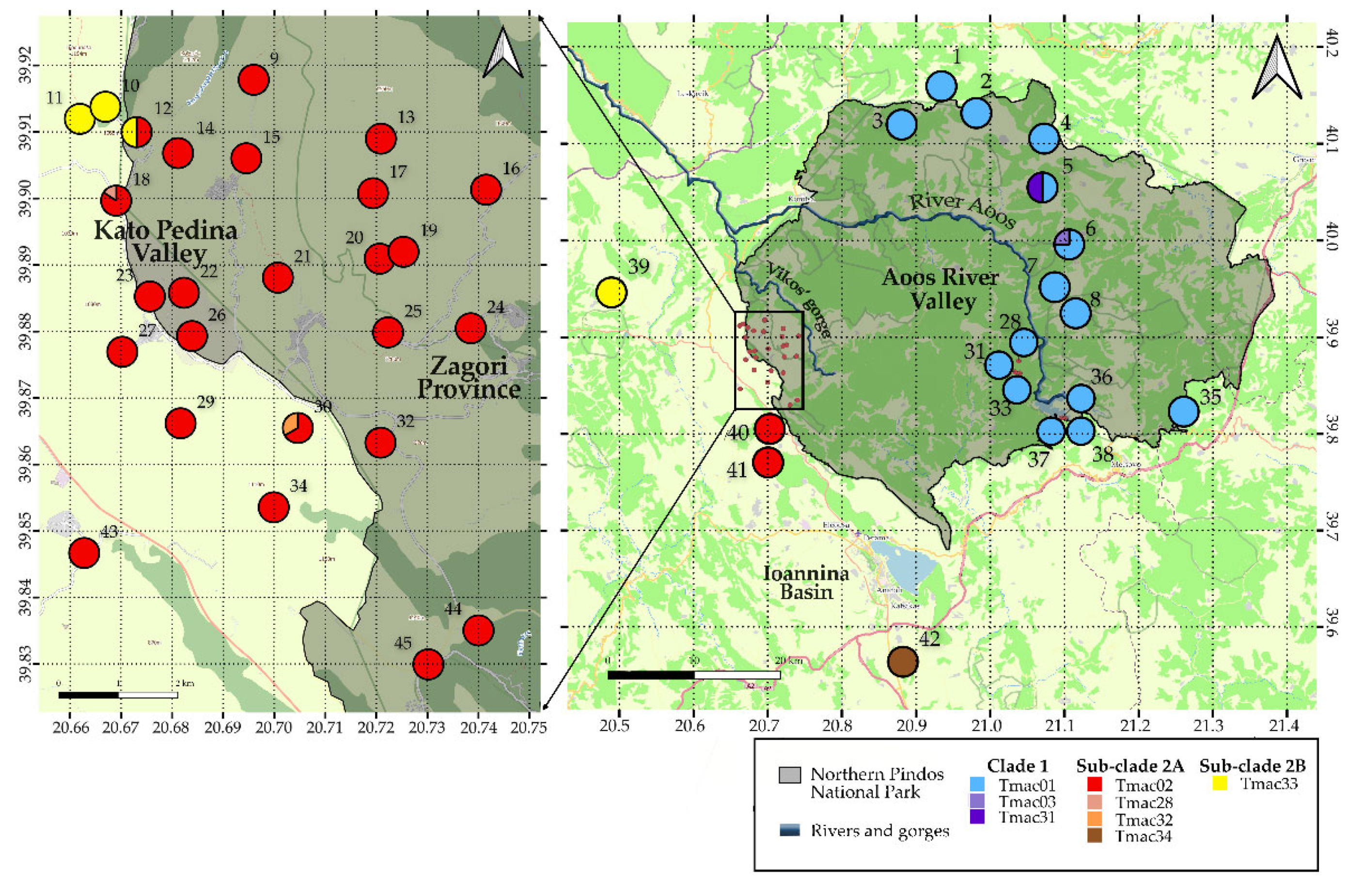 Diversity 15 00671 g002