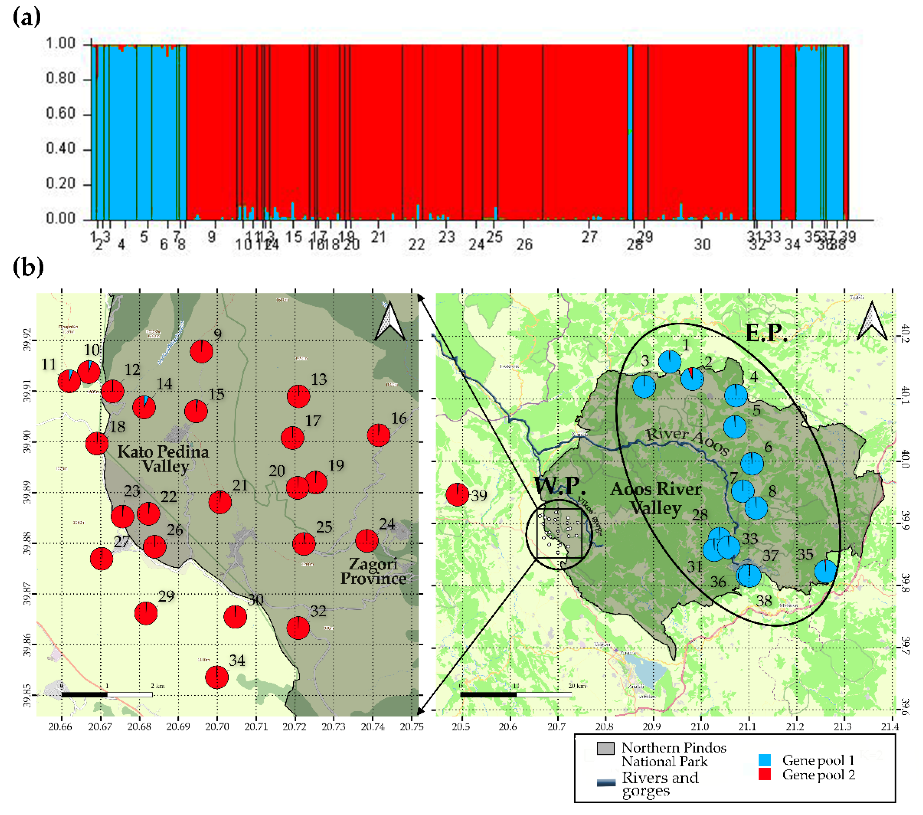 Diversity 15 00671 g003