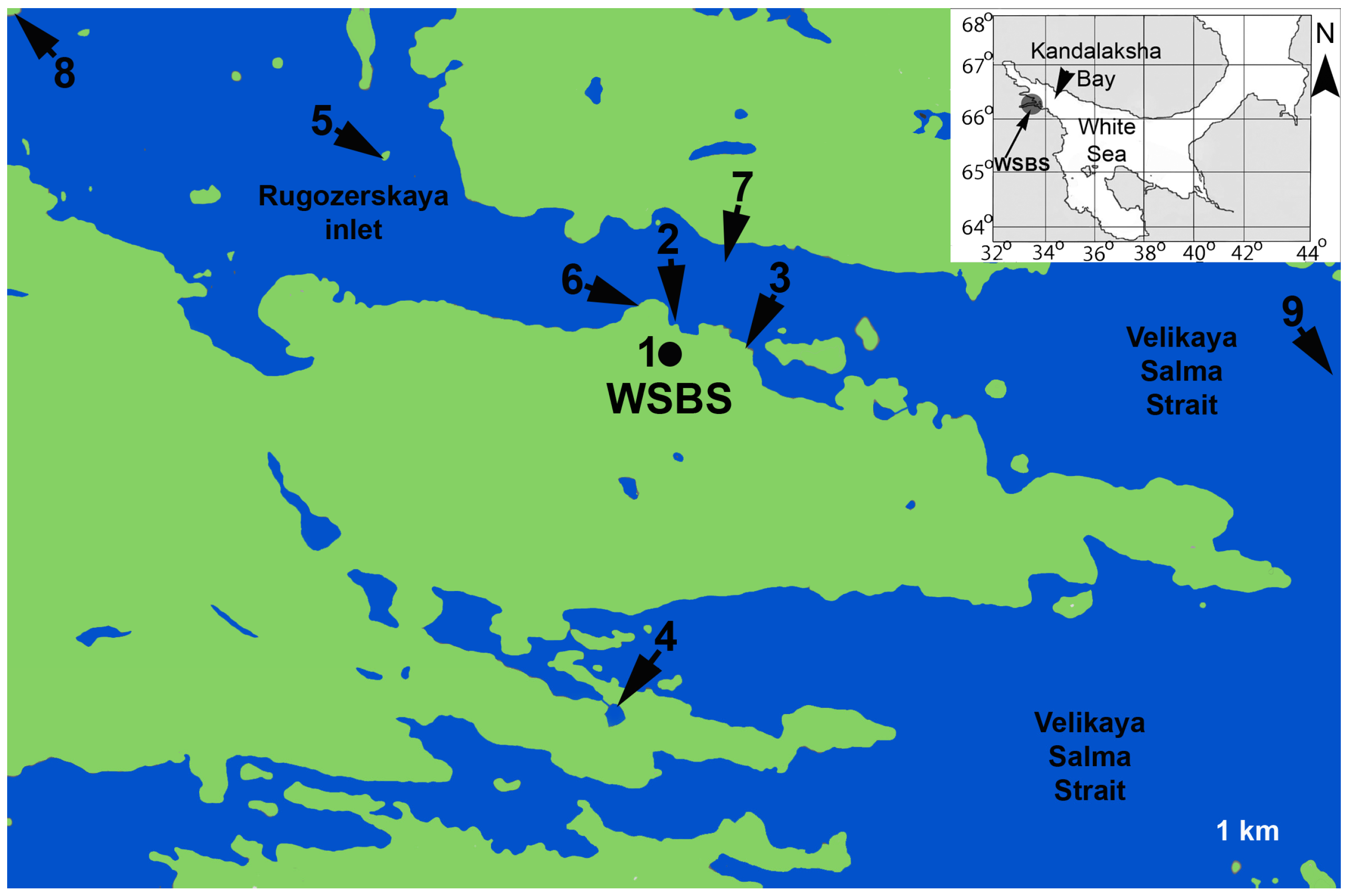 Diversity 15 00675 g001 Diversity 15 00675 g001