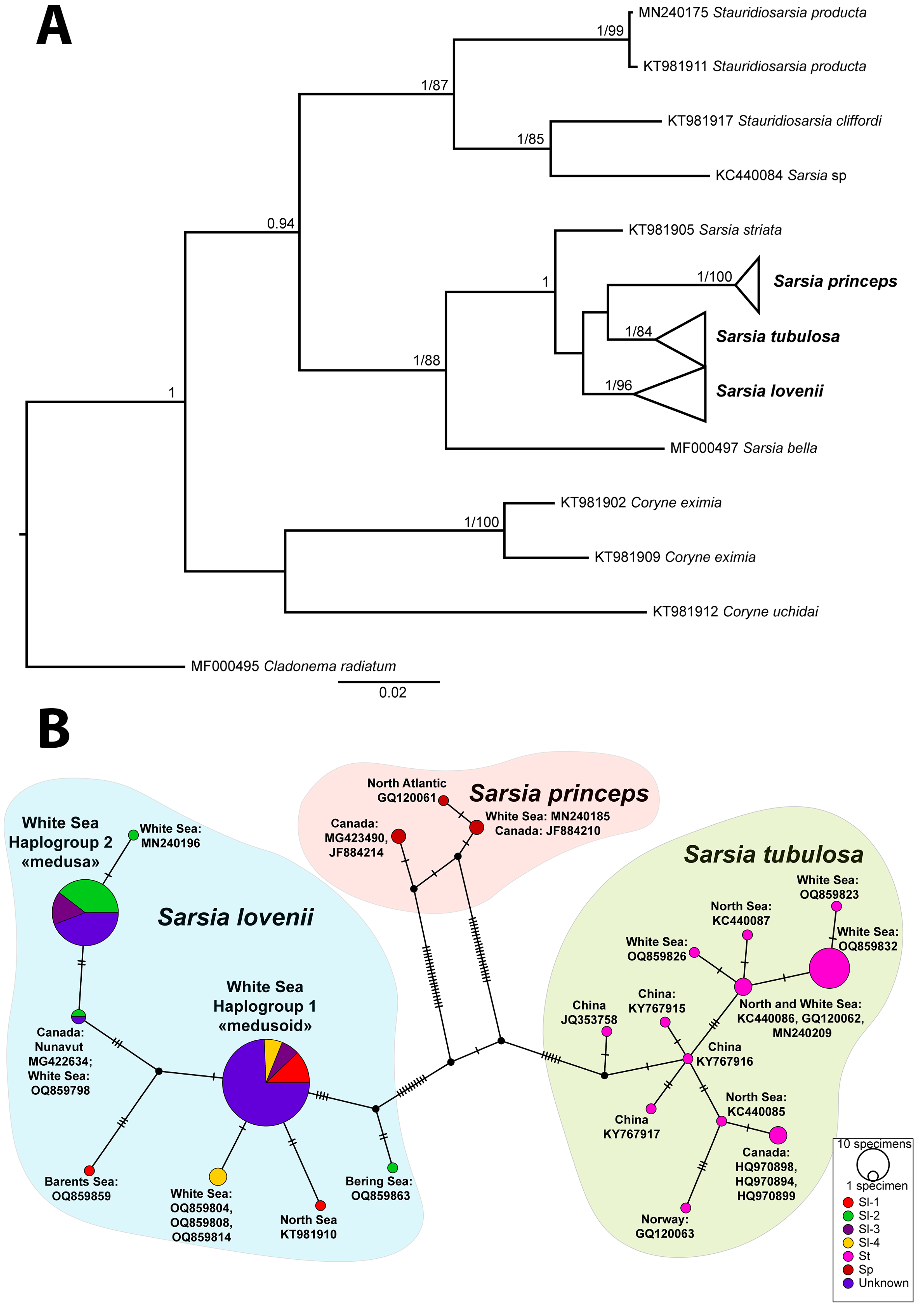 Diversity 15 00675 g003 Diversity 15 00675 g003