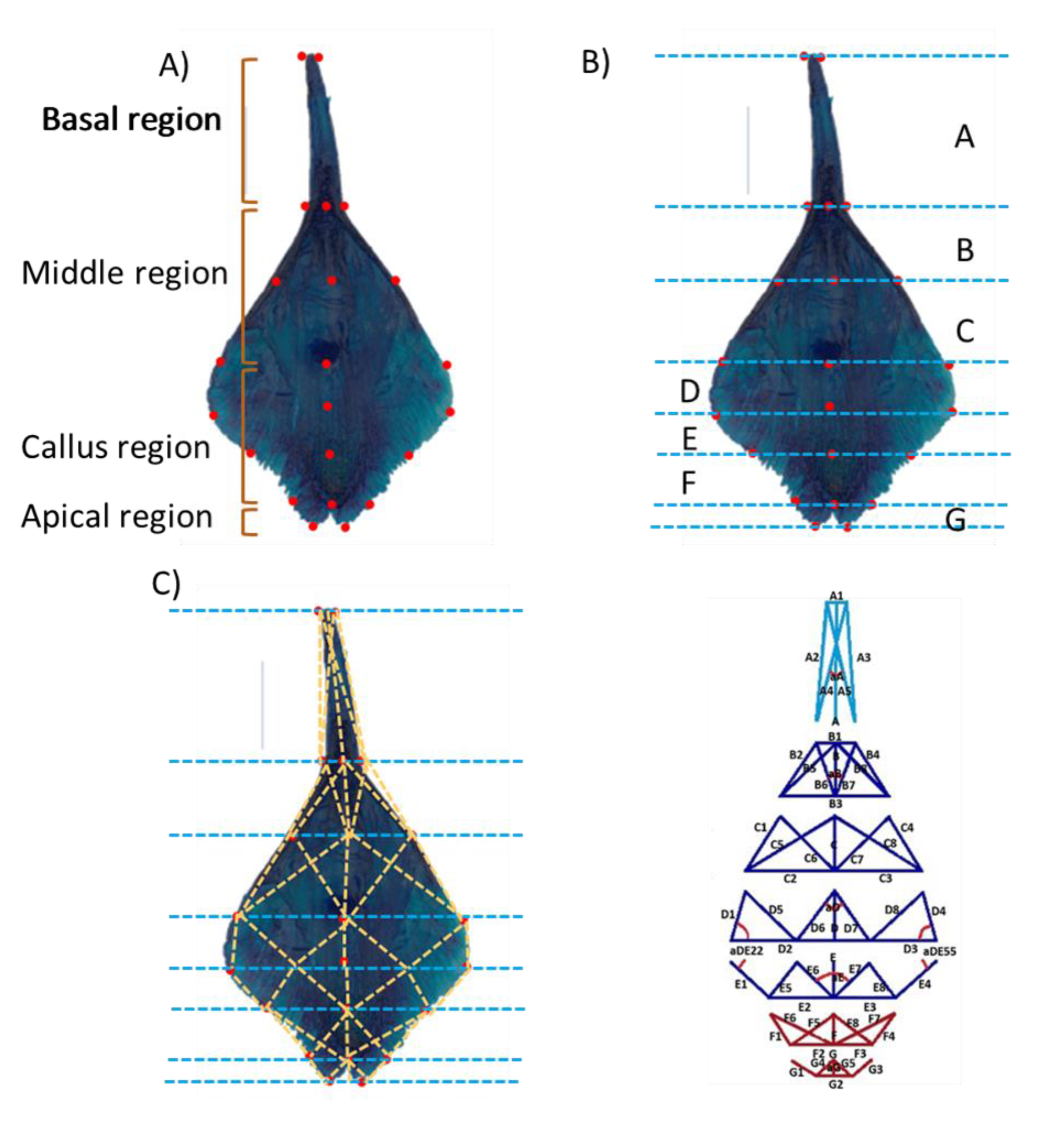 Diversity 15 00678 g003 Diversity 15 00678 g003
