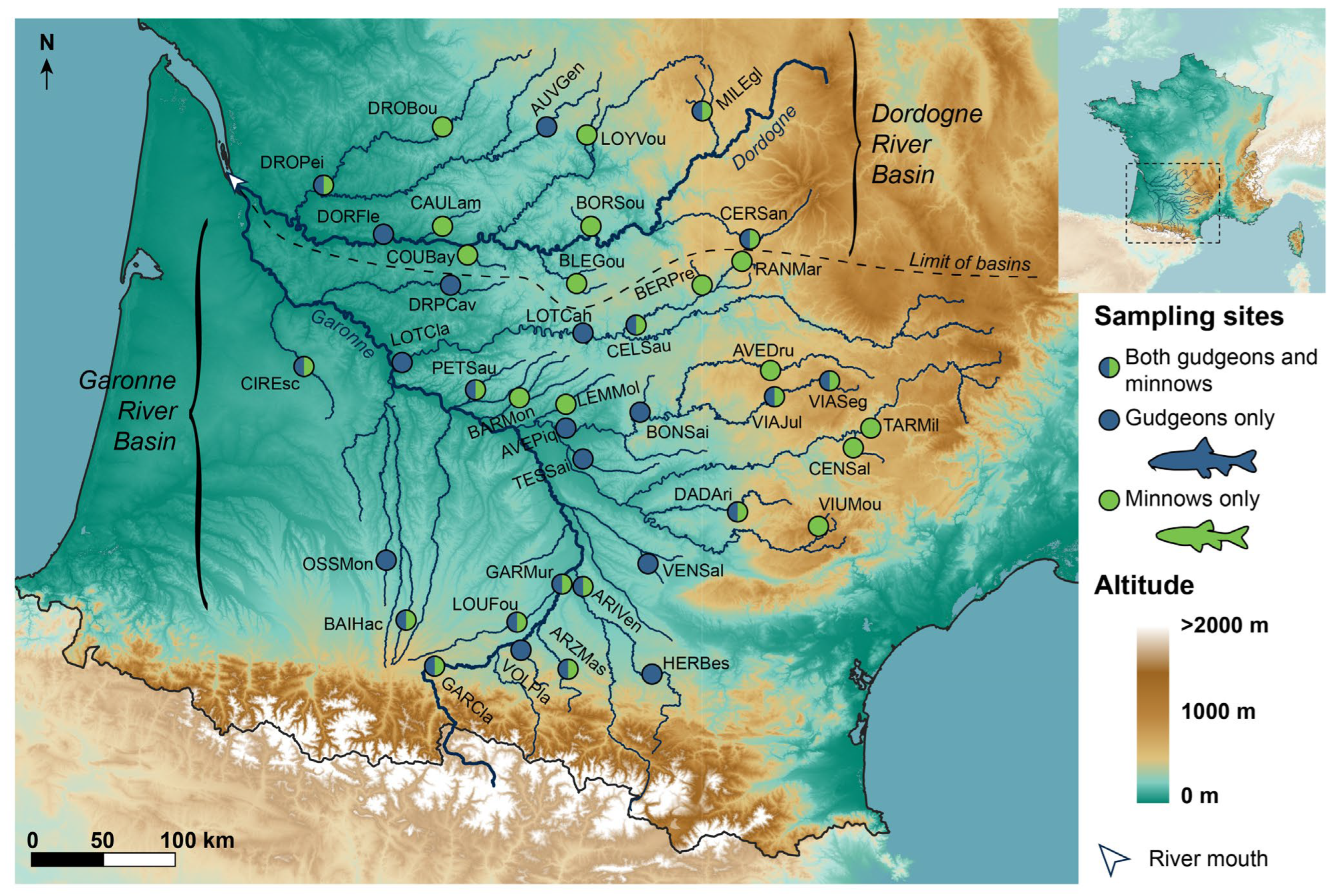 Diversity 15 00681 g001