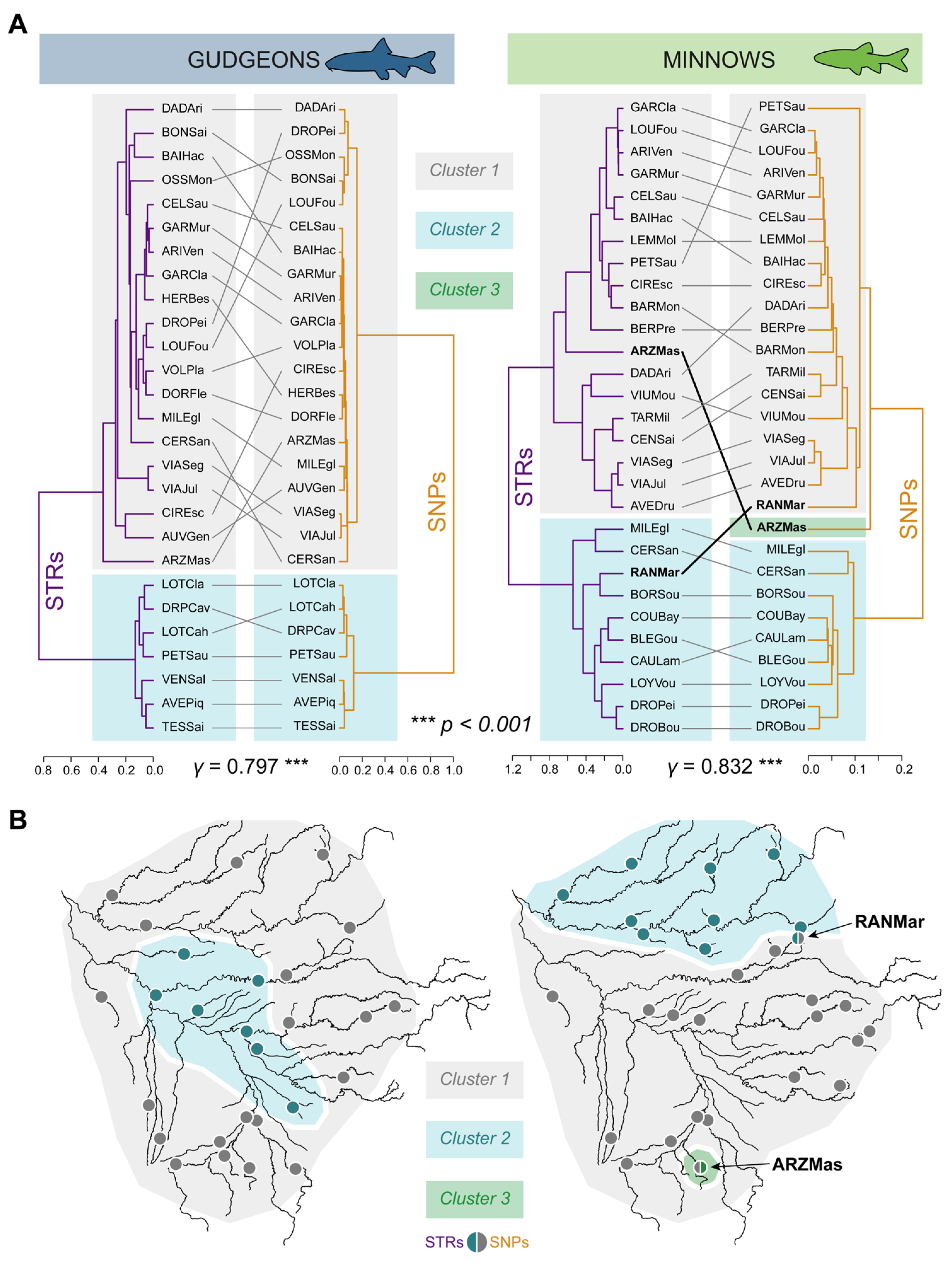 Diversity 15 00681 g004