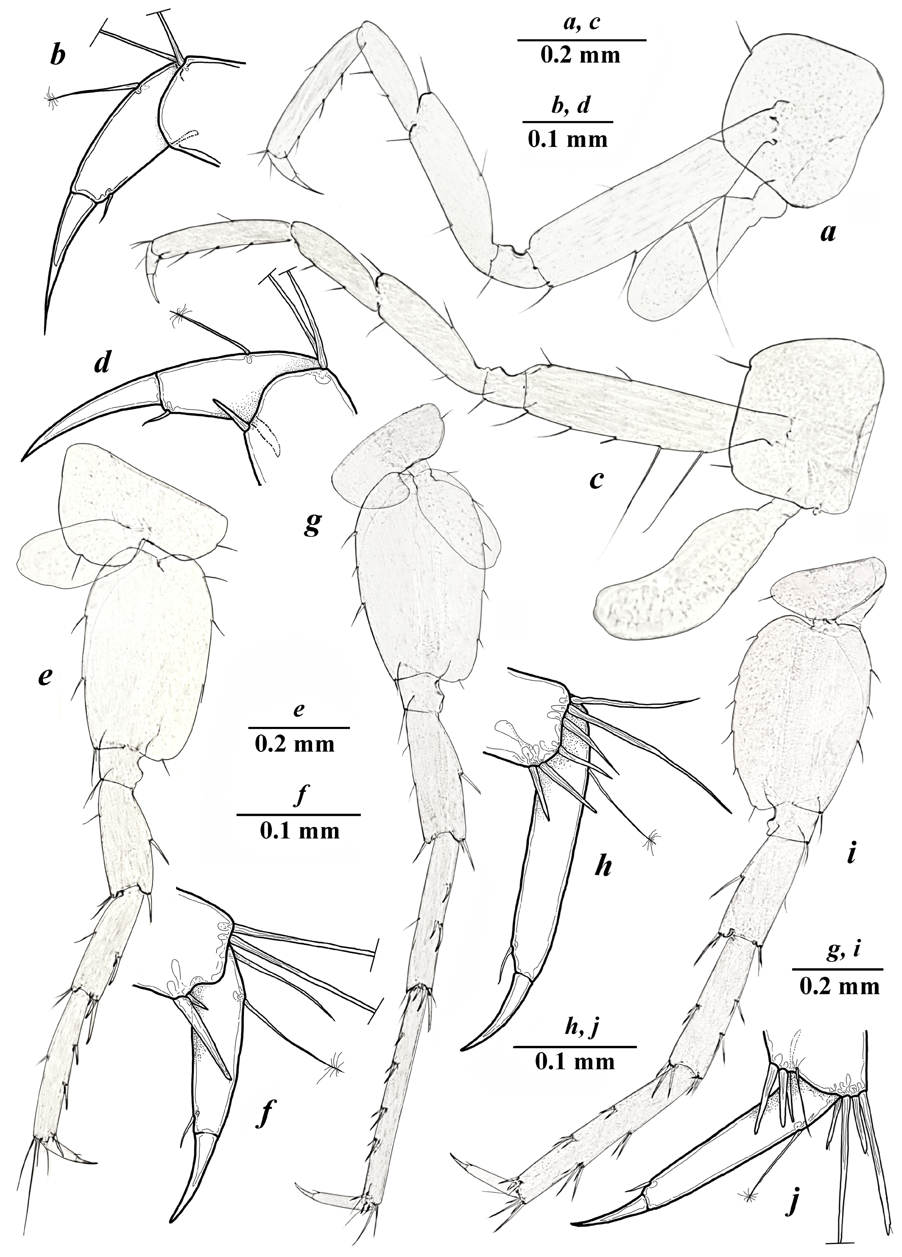 Diversity 15 00682 g005 Diversity 15 00682 g005
