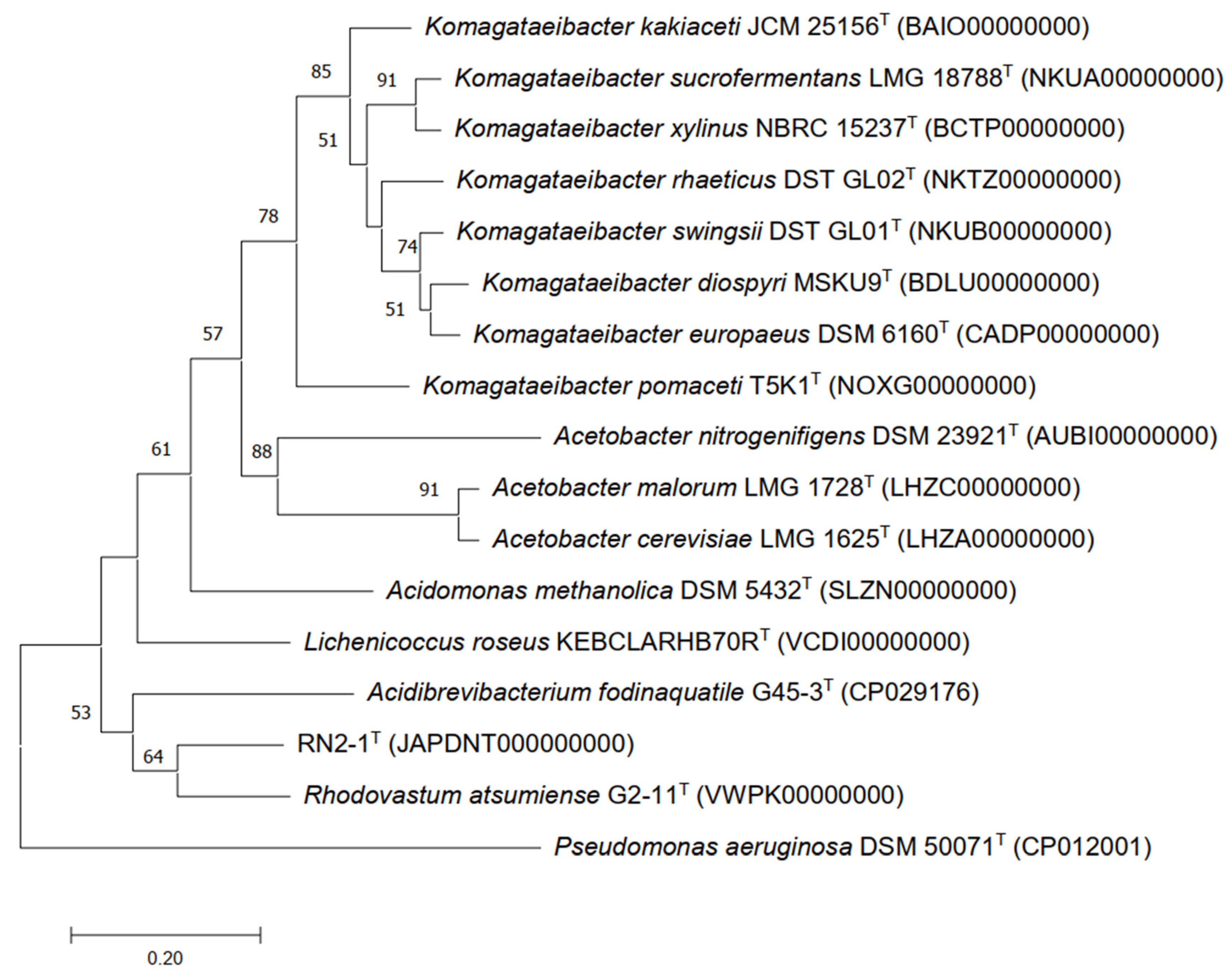 Diversity 15 00684 g003 Diversity 15 00684 g003