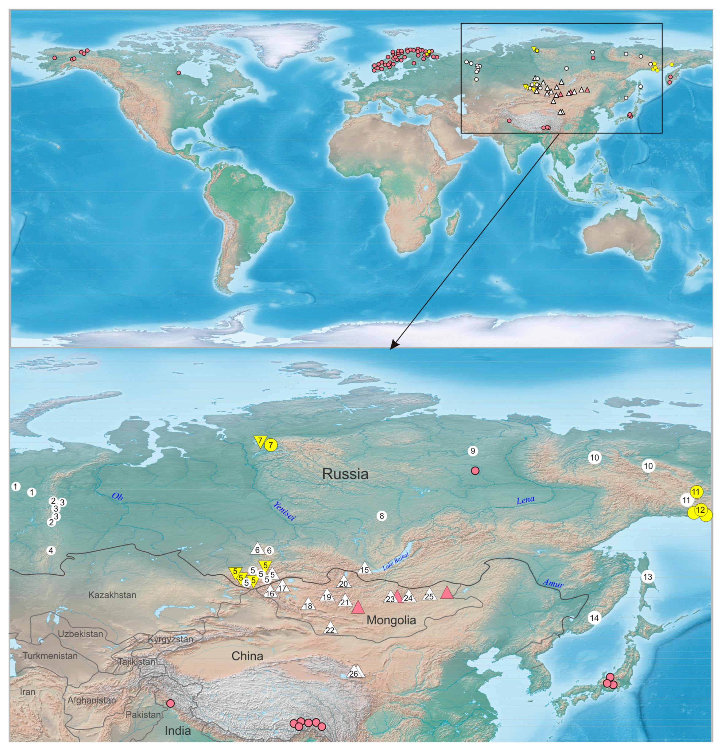 Diversity 15 00686 g001 Diversity 15 00686 g001