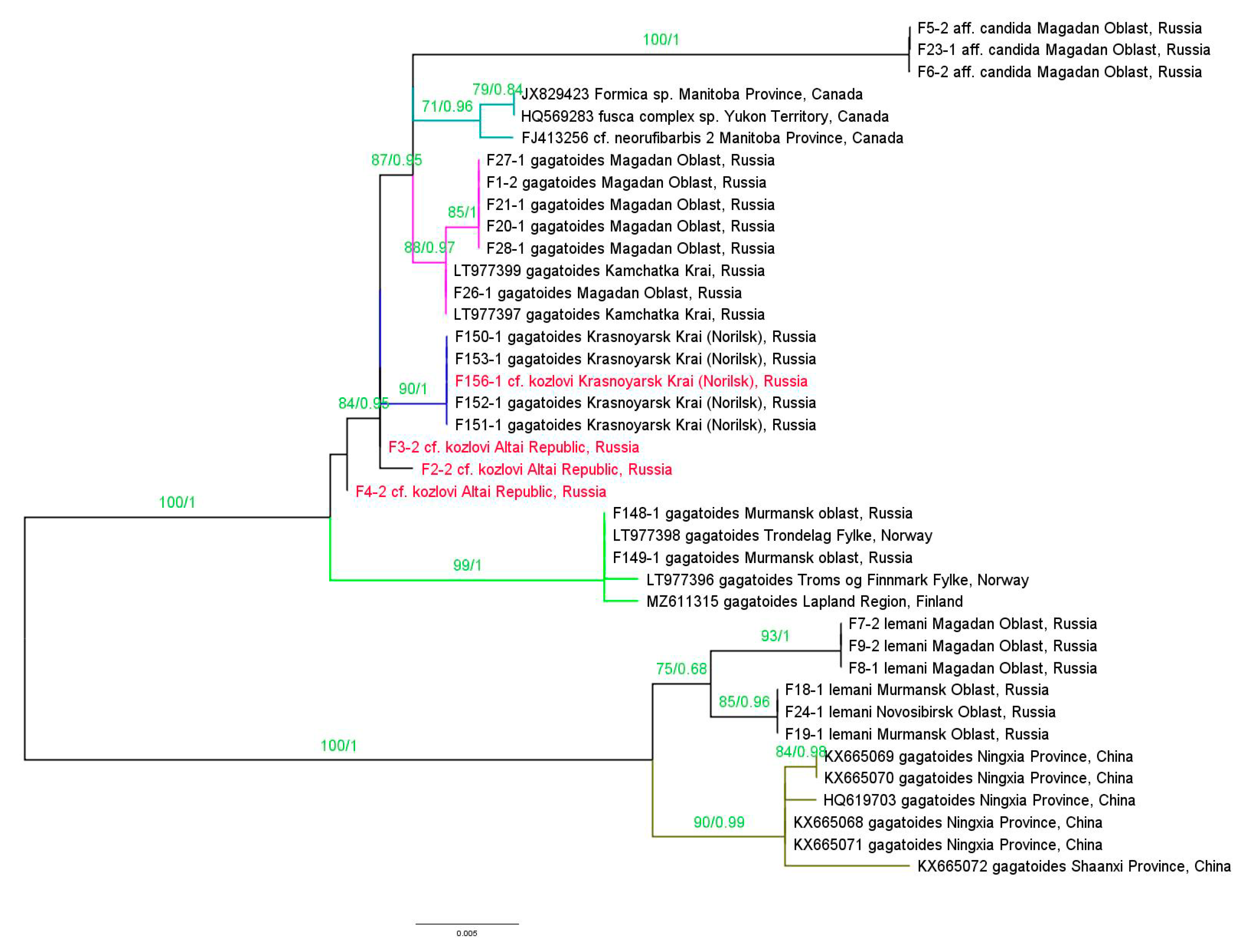 Diversity 15 00686 g004 Diversity 15 00686 g004