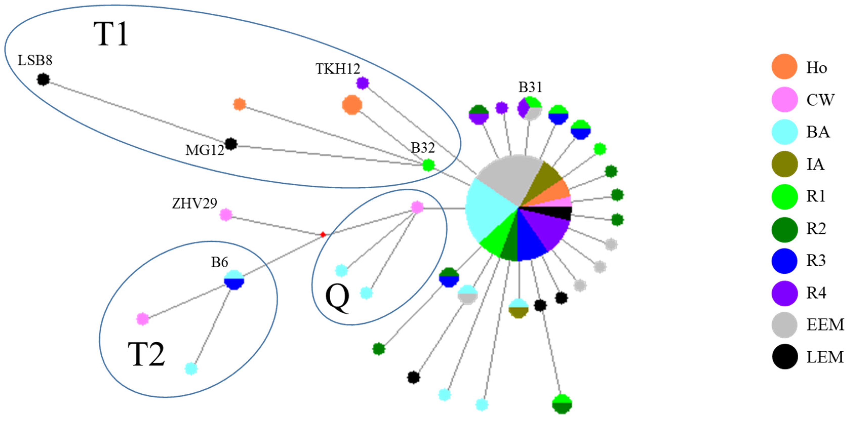 Diversity 15 00687 g004 Diversity 15 00687 g004