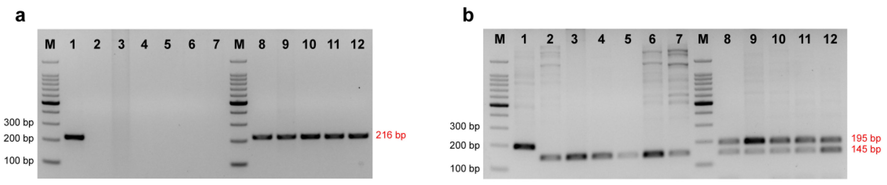 Diversity 15 00689 g002 Diversity 15 00689 g002