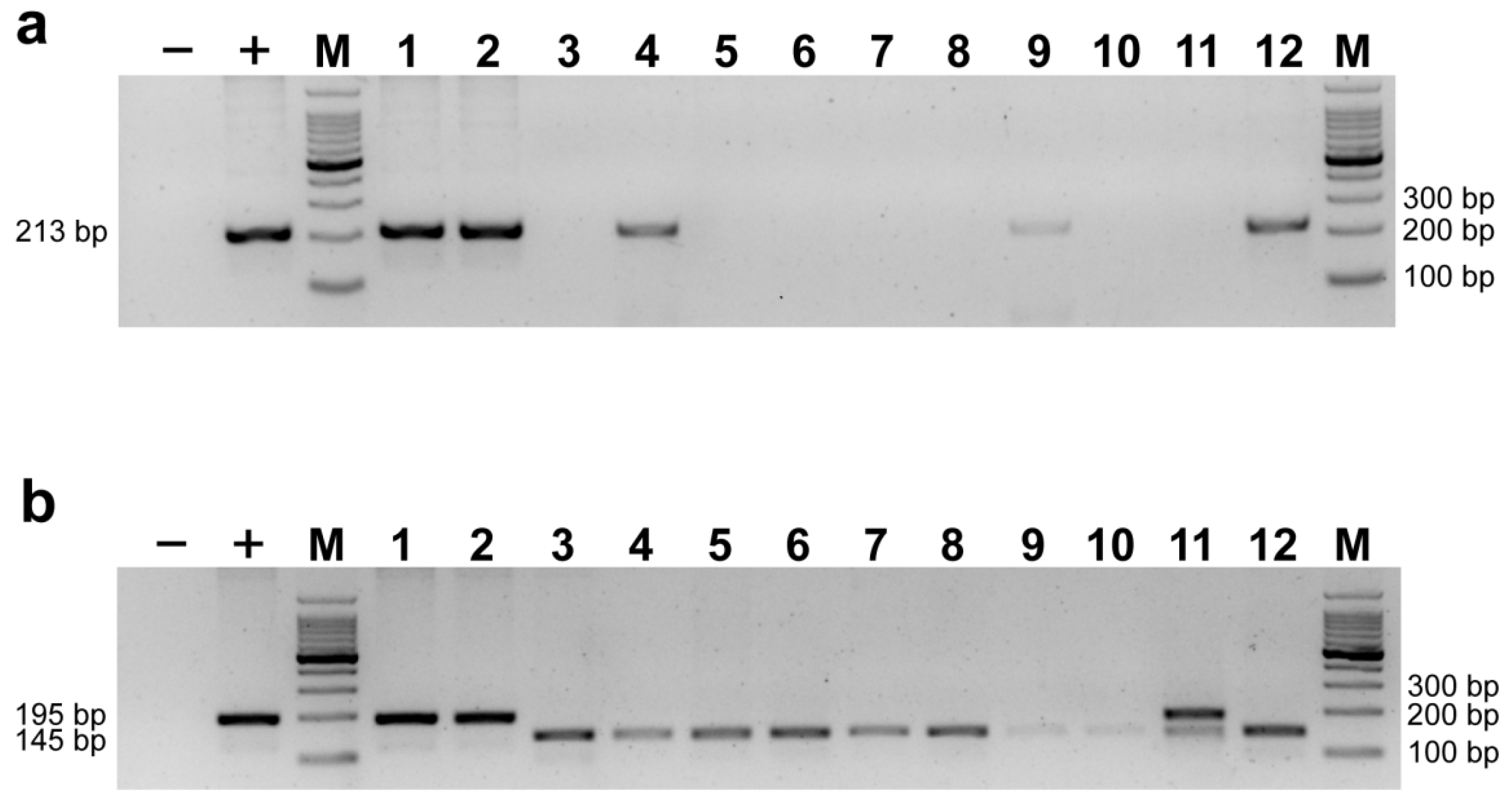 Diversity 15 00689 g004 Diversity 15 00689 g004