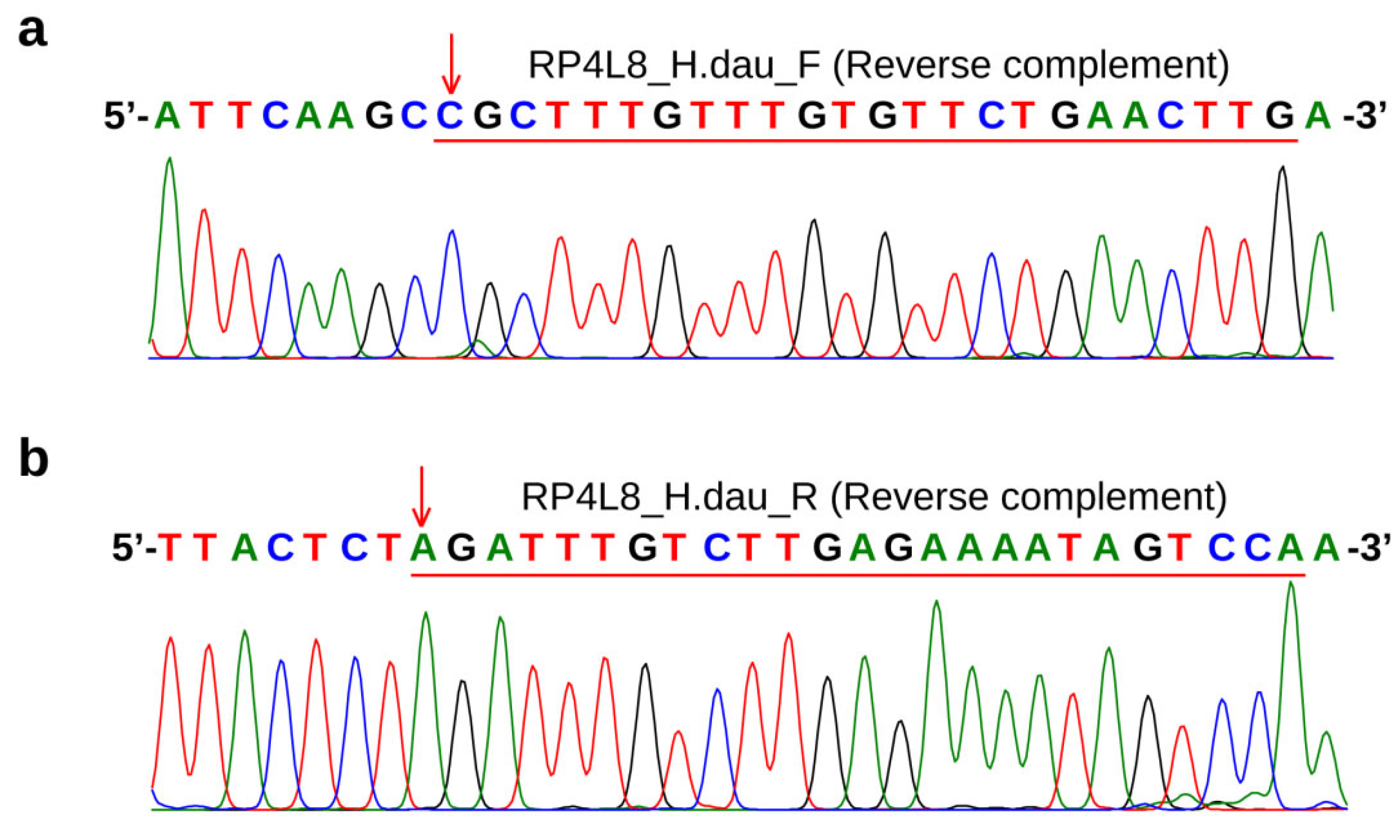 Diversity 15 00689 g005 Diversity 15 00689 g005